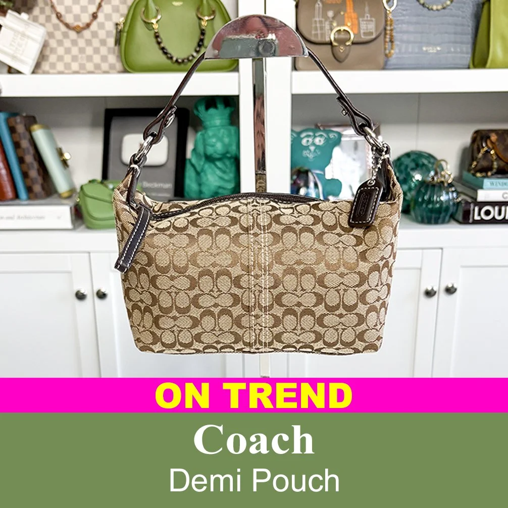 Coach demi pouch.jpg