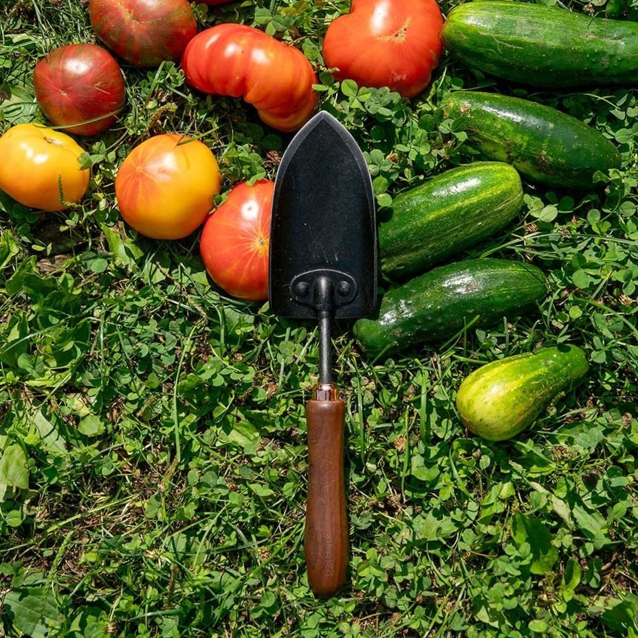 A hand trowel made of black metal and walnut lie on brightly lit grass on top of red tomatoes and green cucumbers.