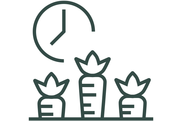 Icon of three carrot tops popping out of soil with a clock behind them.