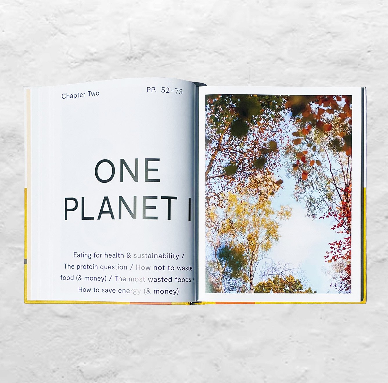 The book One Pot, Pan, Planet book lies open to the "One Planet" chapter against a white plaster background.
