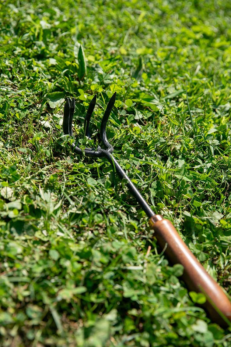 Cultivator
