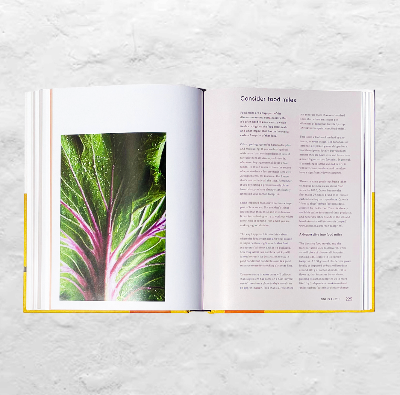 The book One Pot, Pan, Planet book lies open to a 'consider food miles' spread against a white plaster background.