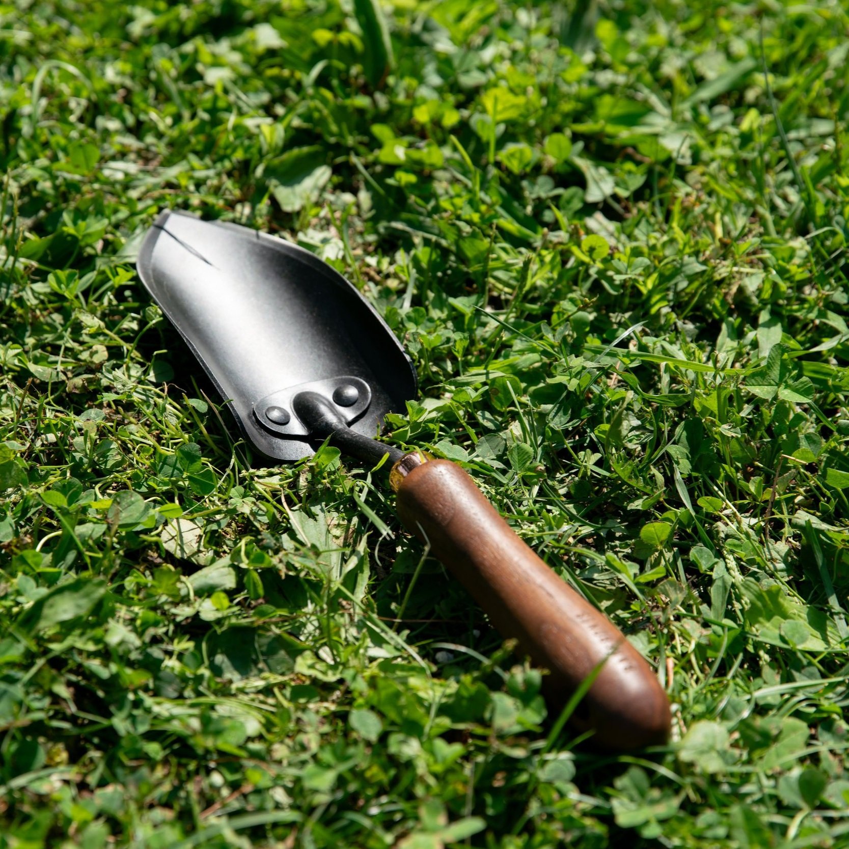 Spade Hand Trowel