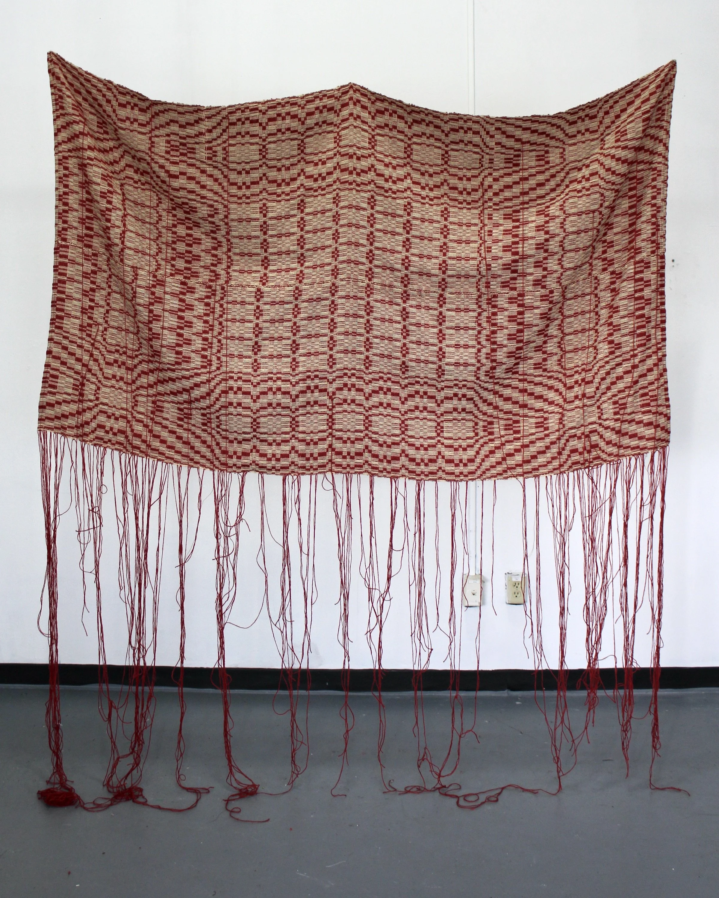 The Damsel Wept (Davidson’s Damsel Arise).JPG