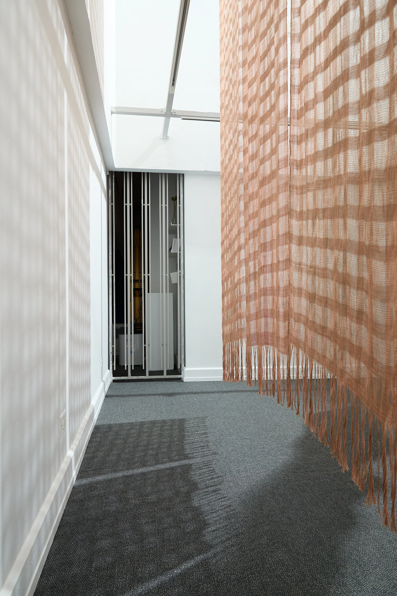 KGP_roxie_22025_0079_web (1).jpg