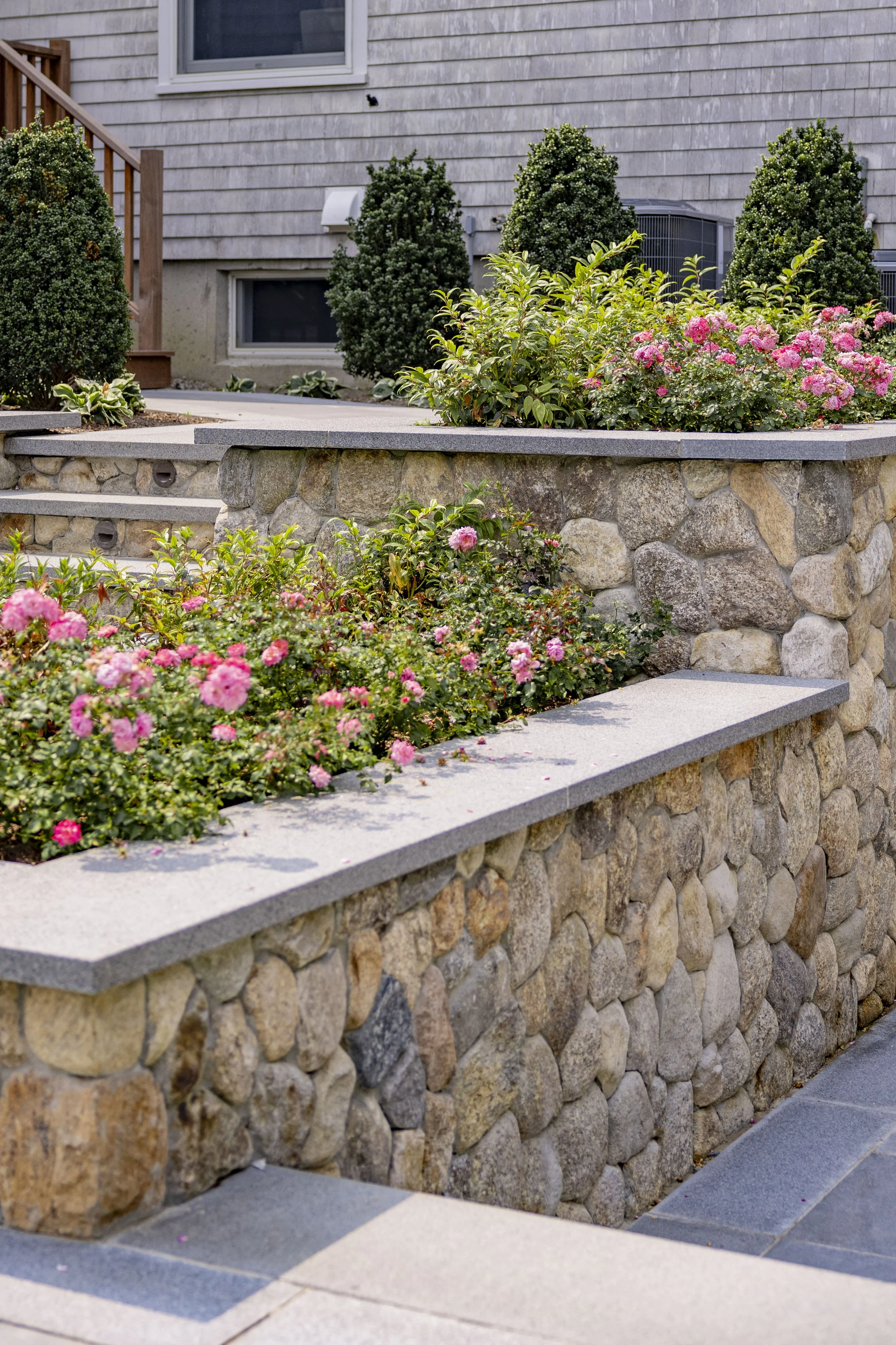 Stone garden walls with pink flowers and manicured shrubs beside a shingle-style Cape Cod home.