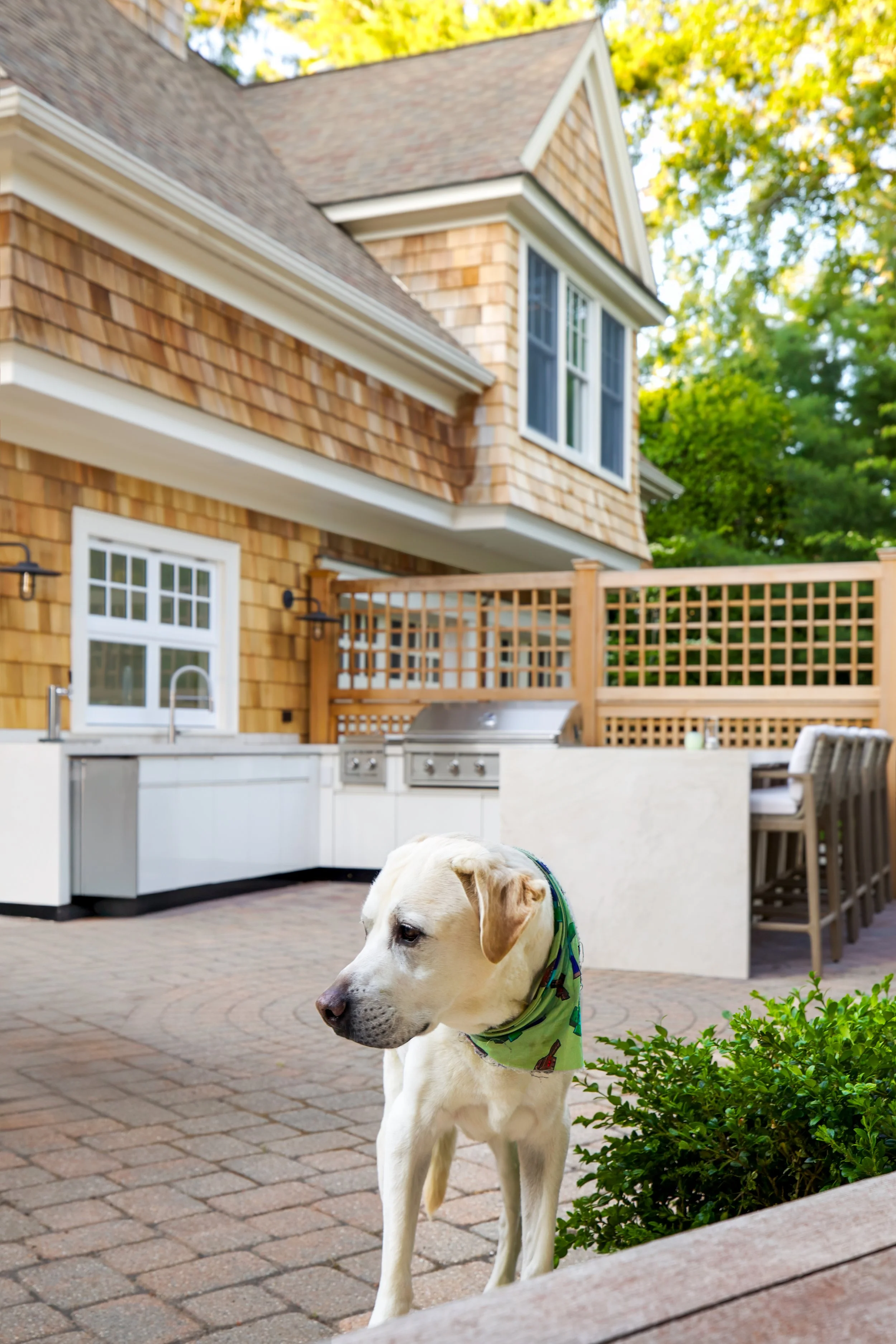 Poolside dog, shingled siding, and built-in grill add personality to this Cape Cod patio kitchen.