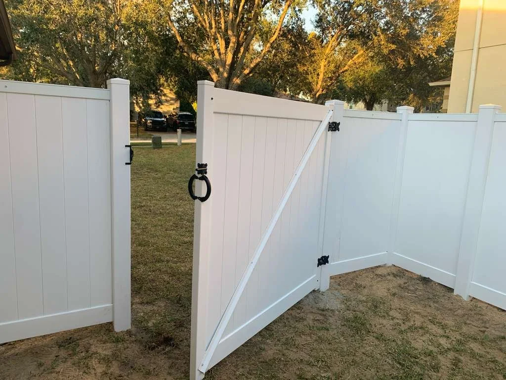 WhatsApp Image 2025-11-19 at 21.20.10_7da6aa03.jpg