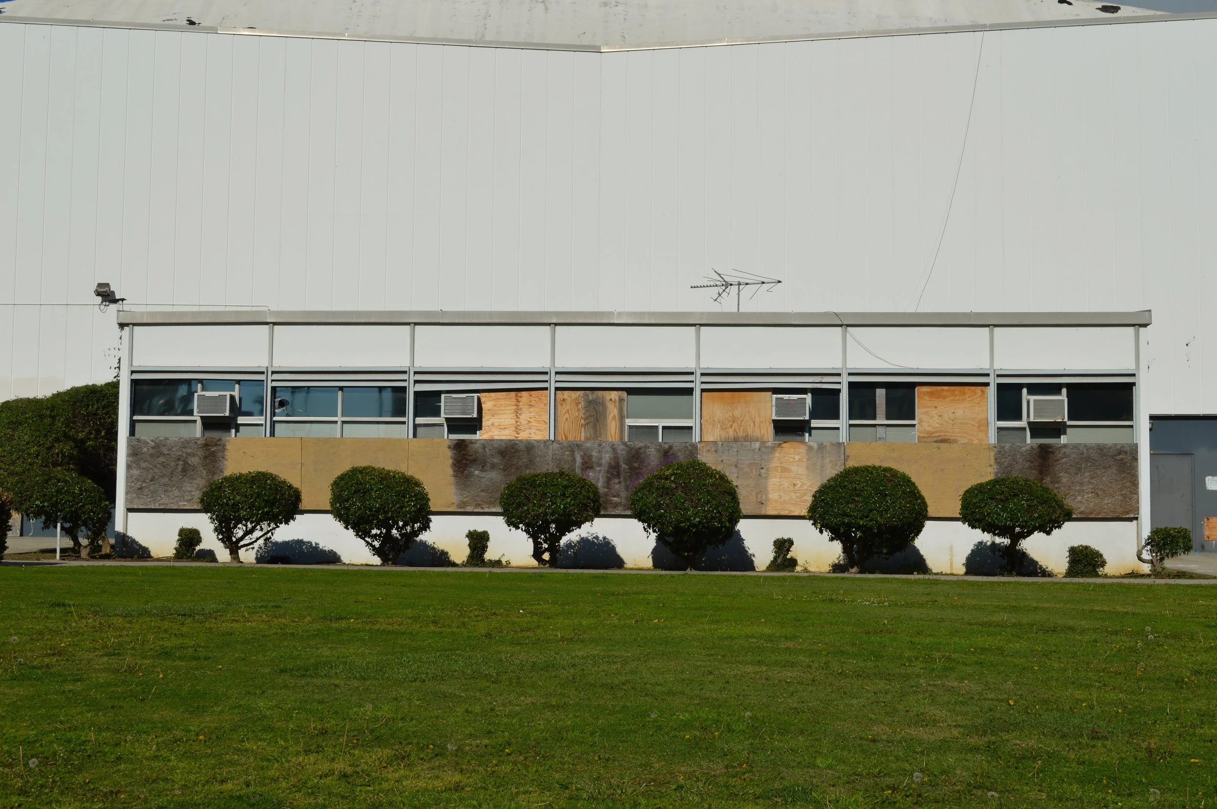 Shrubs at Center.jpg