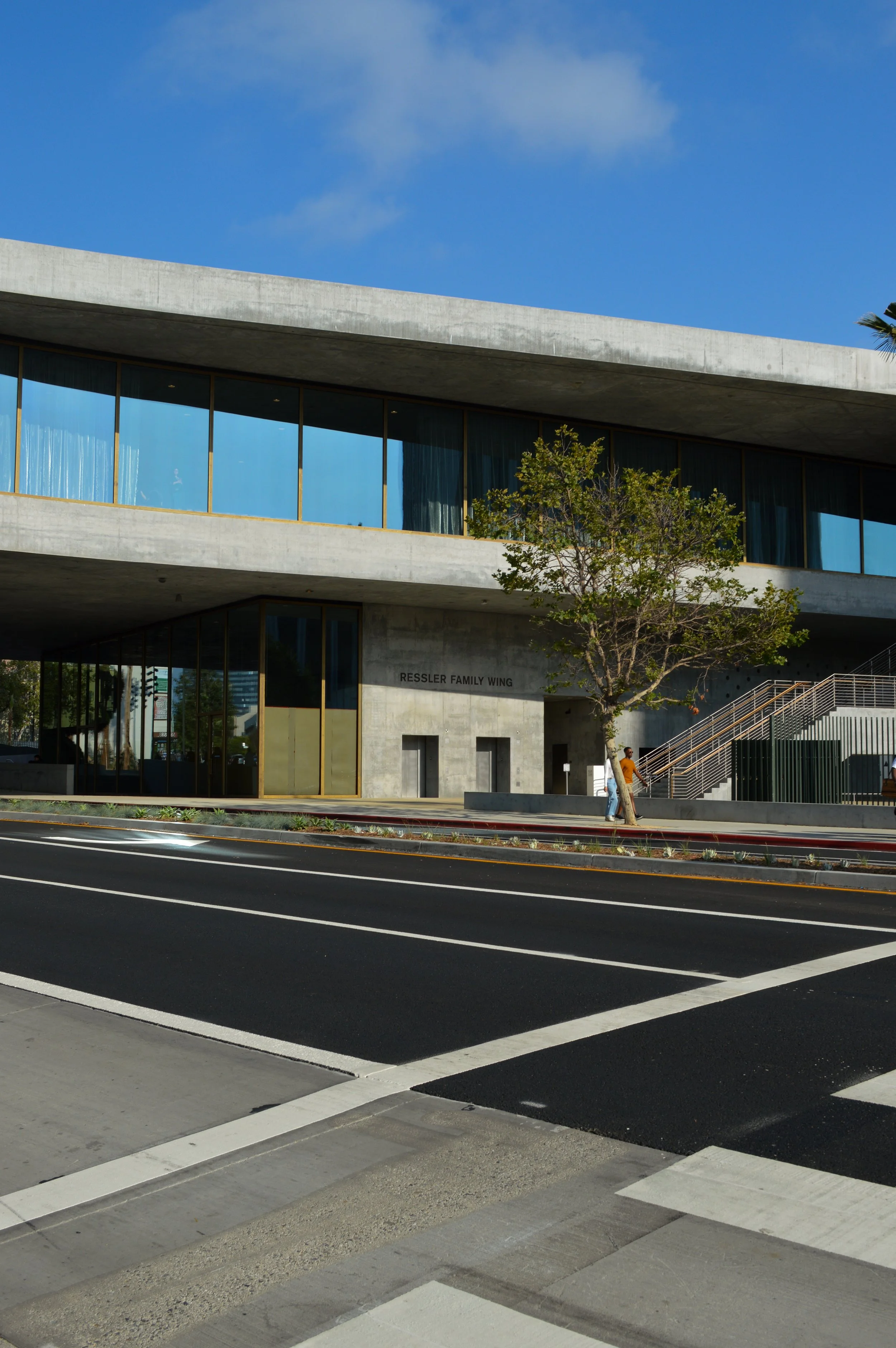 Tree Across Wilshire.jpg