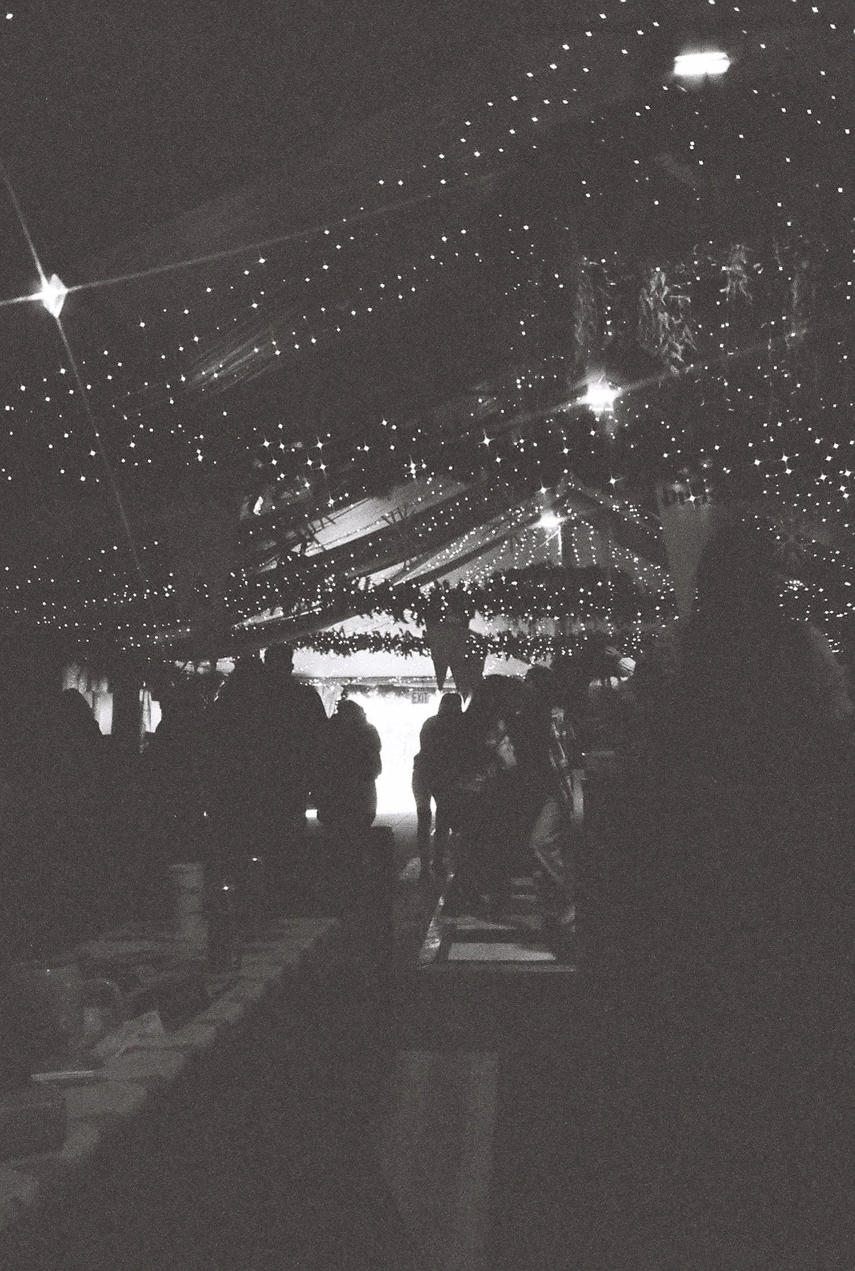 Bier Hall Nov 24.JPG