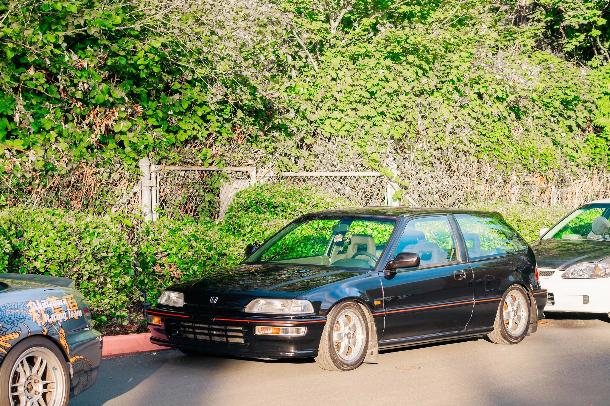 DSCF1051.jpg