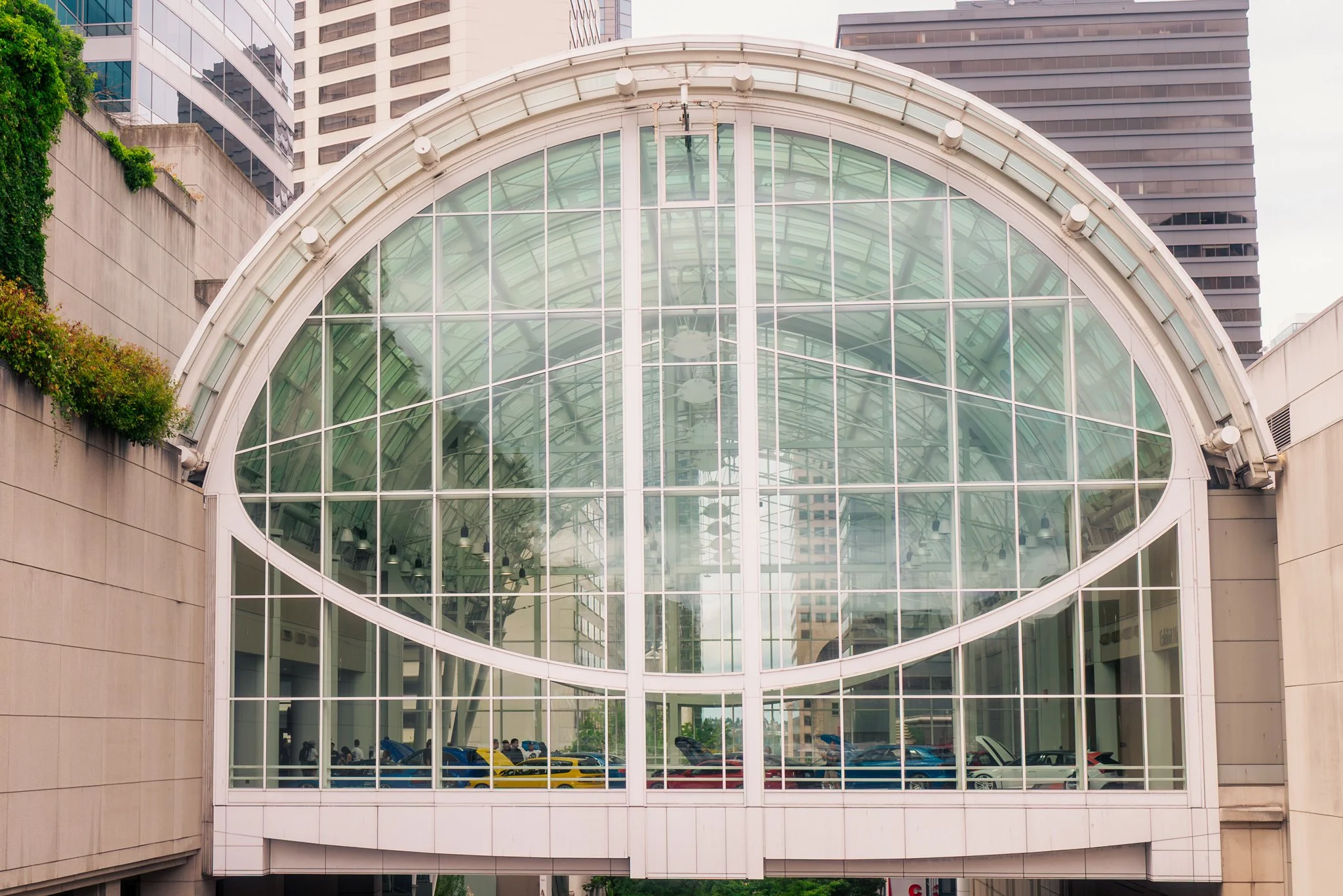  View of the fish bowl. 