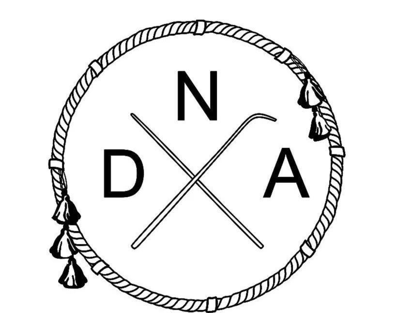 Dhol Nation Alliance