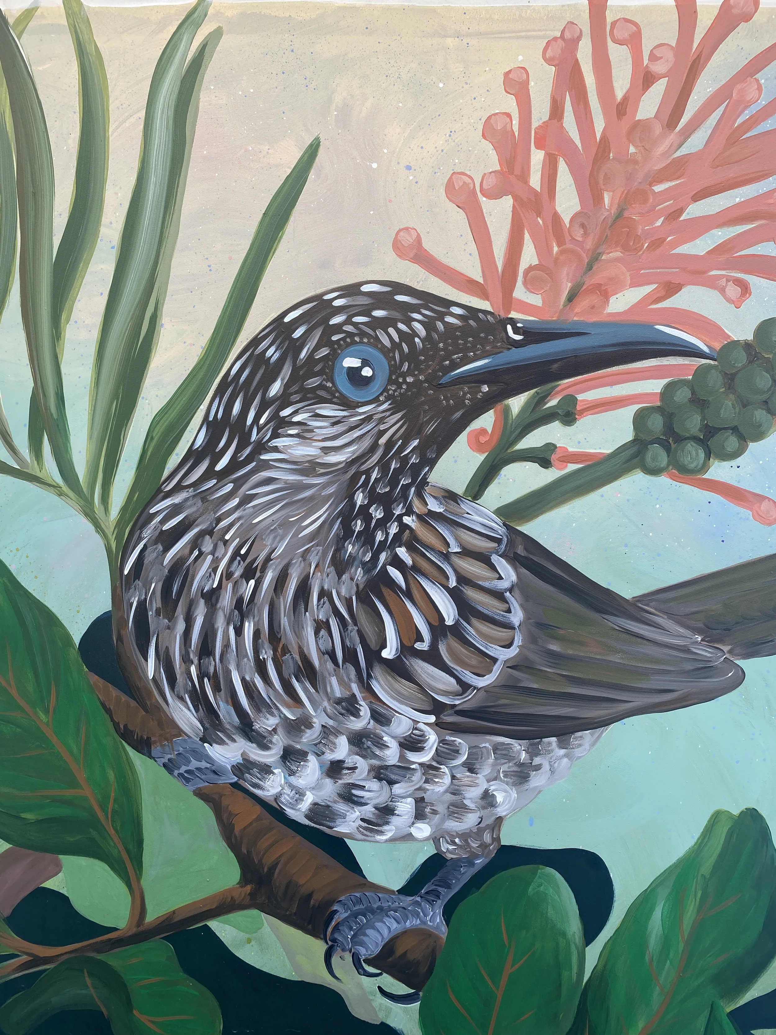 Detail photo of Little Wattlebird mural