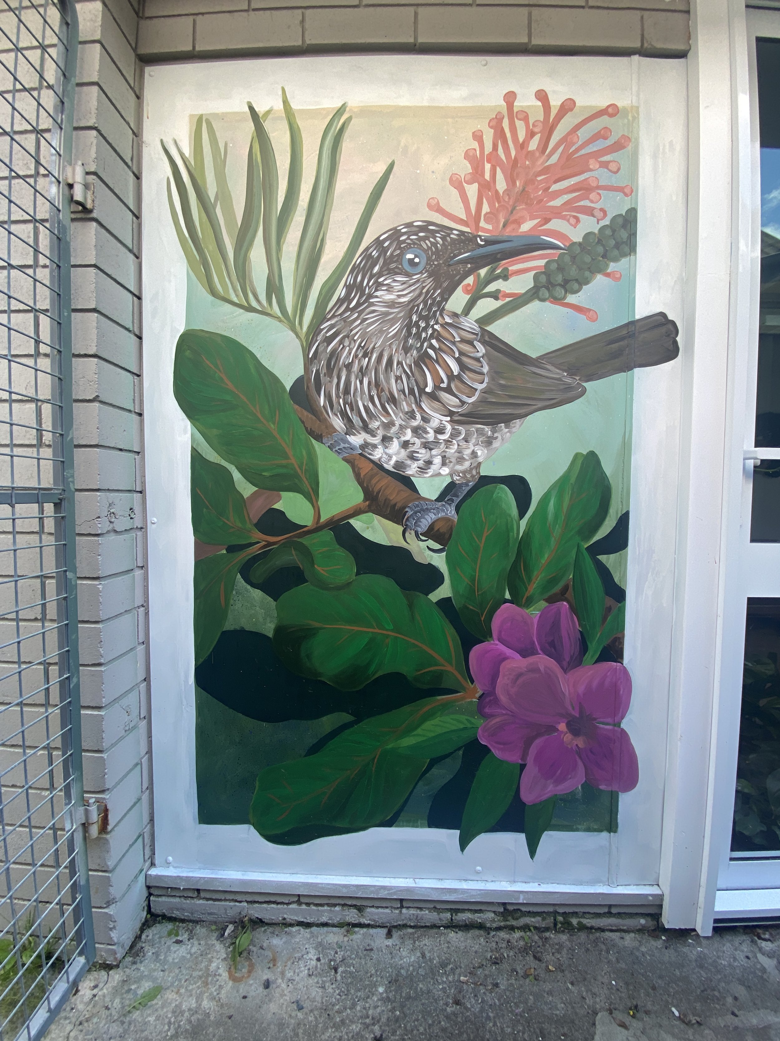 Photo of Little Wattlebird mural