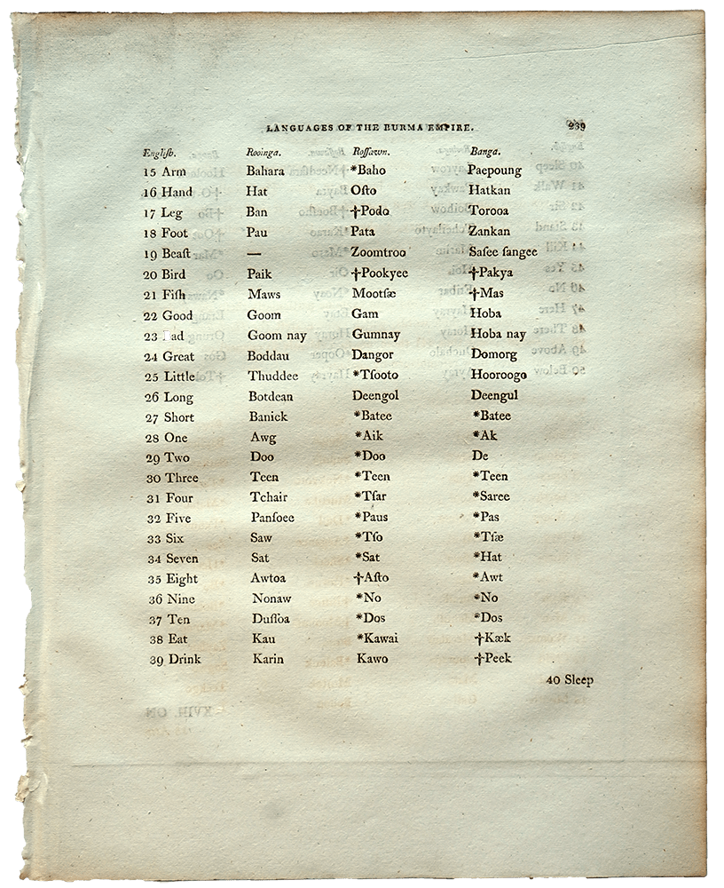 6448-a copy-min.png