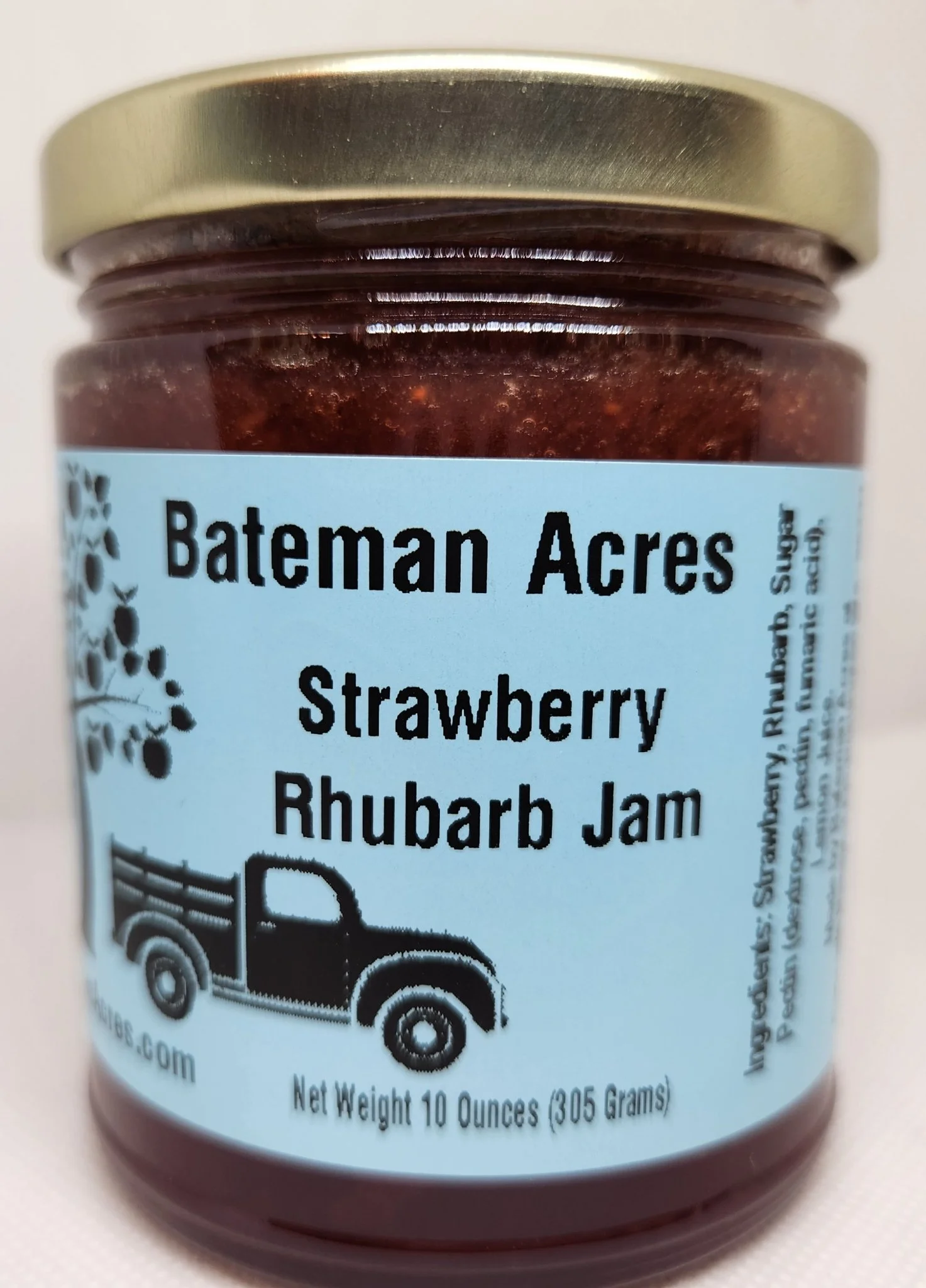 ギター Raspberry Effects Blackberry JAM ギター Raspberry Effects Blackberry JAM Raspberry Effects