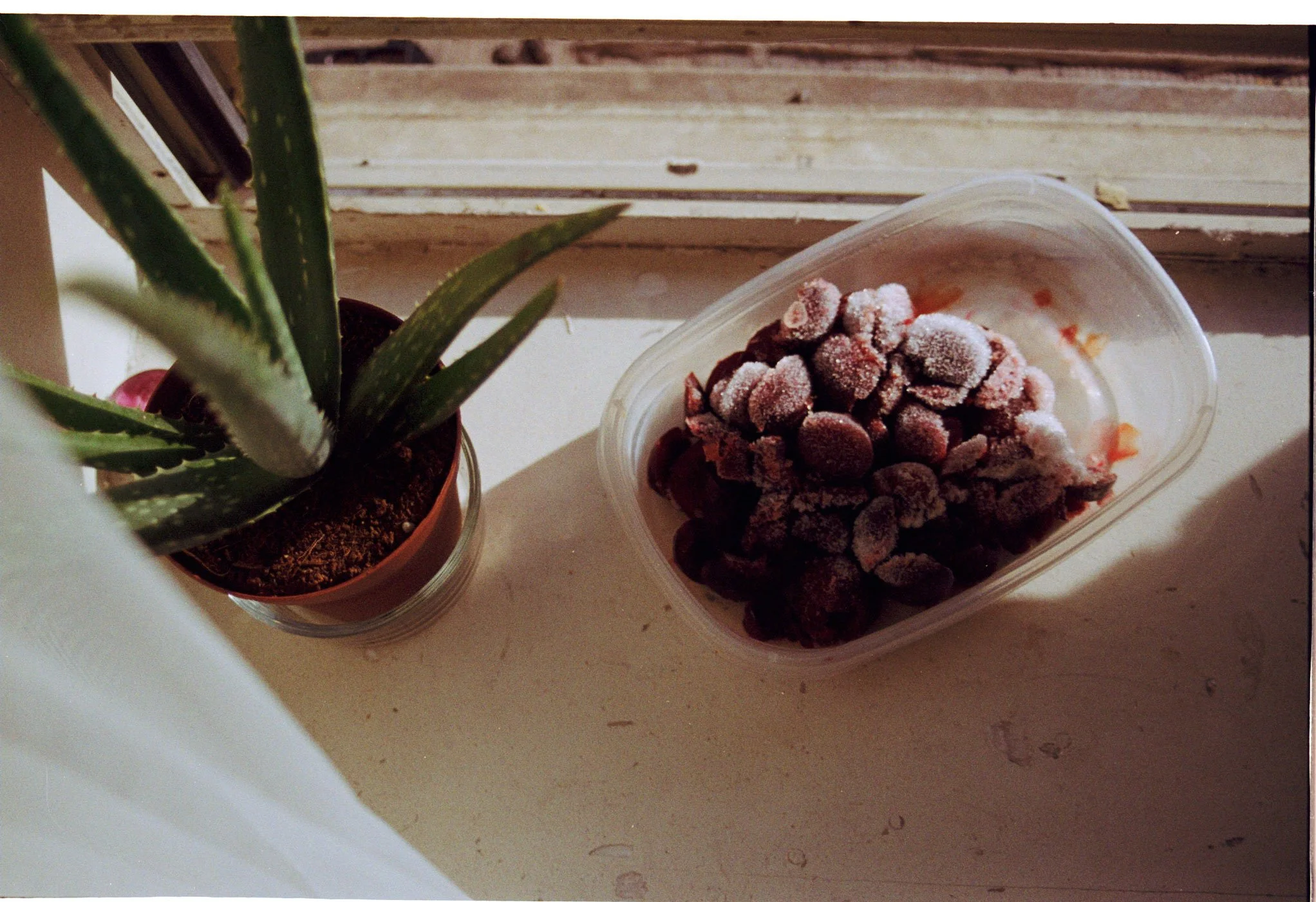 ennis 35mm film photography -harlem carlos st jhn kehinde wiley painting book-01.jpg