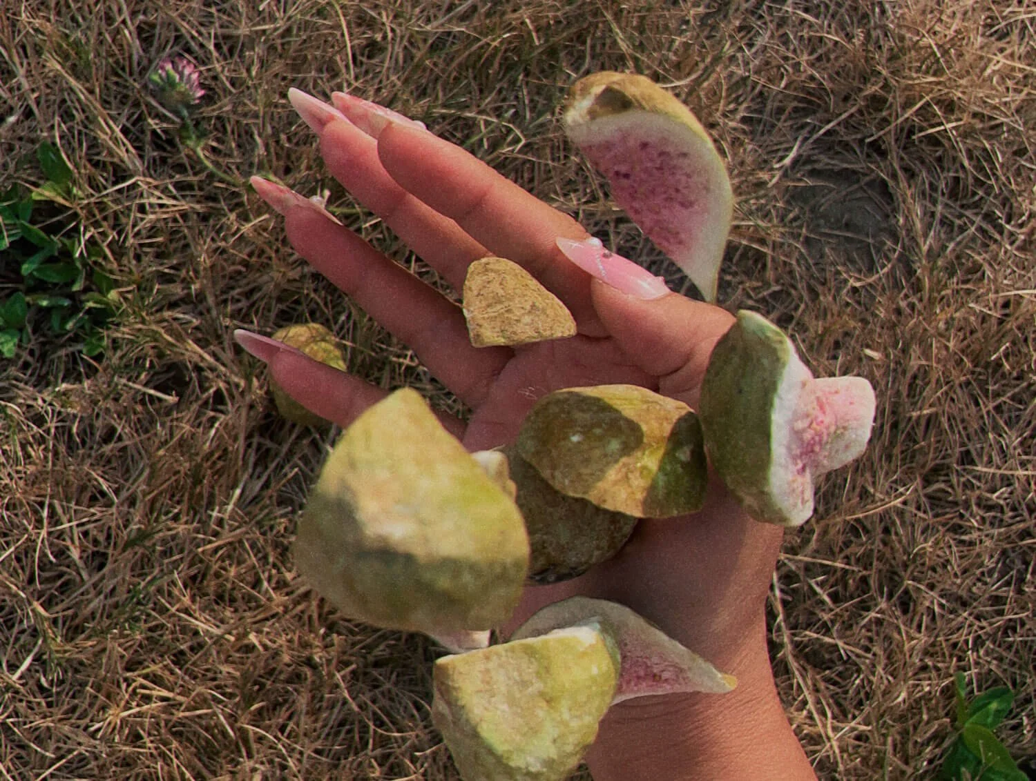 muse-lifestyle-hands.jpg