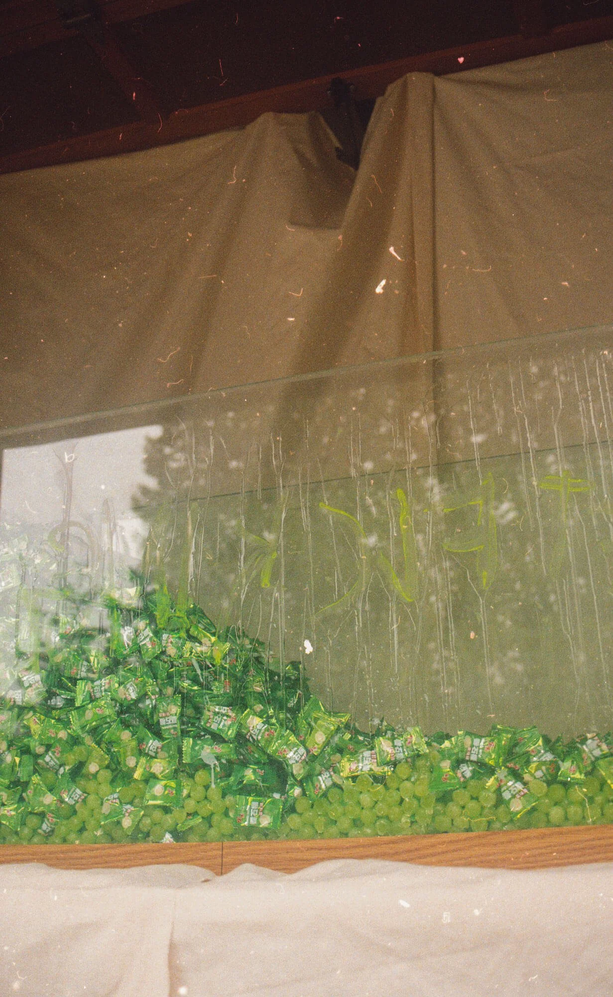 03 patient pussy candy dissertation sculpture 5culptures by ennis like tennis mixed media contemporary art process artist dave chappelle chinese green melon candy fish tank.jpg