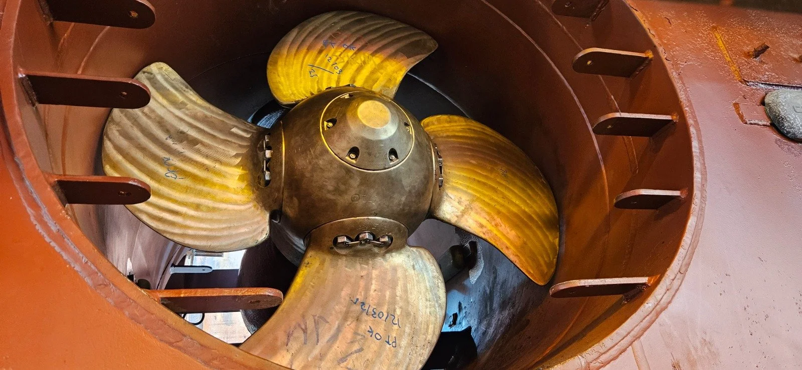 WhatsApp Image 2026-04-15 at 15.47.15.jpeg