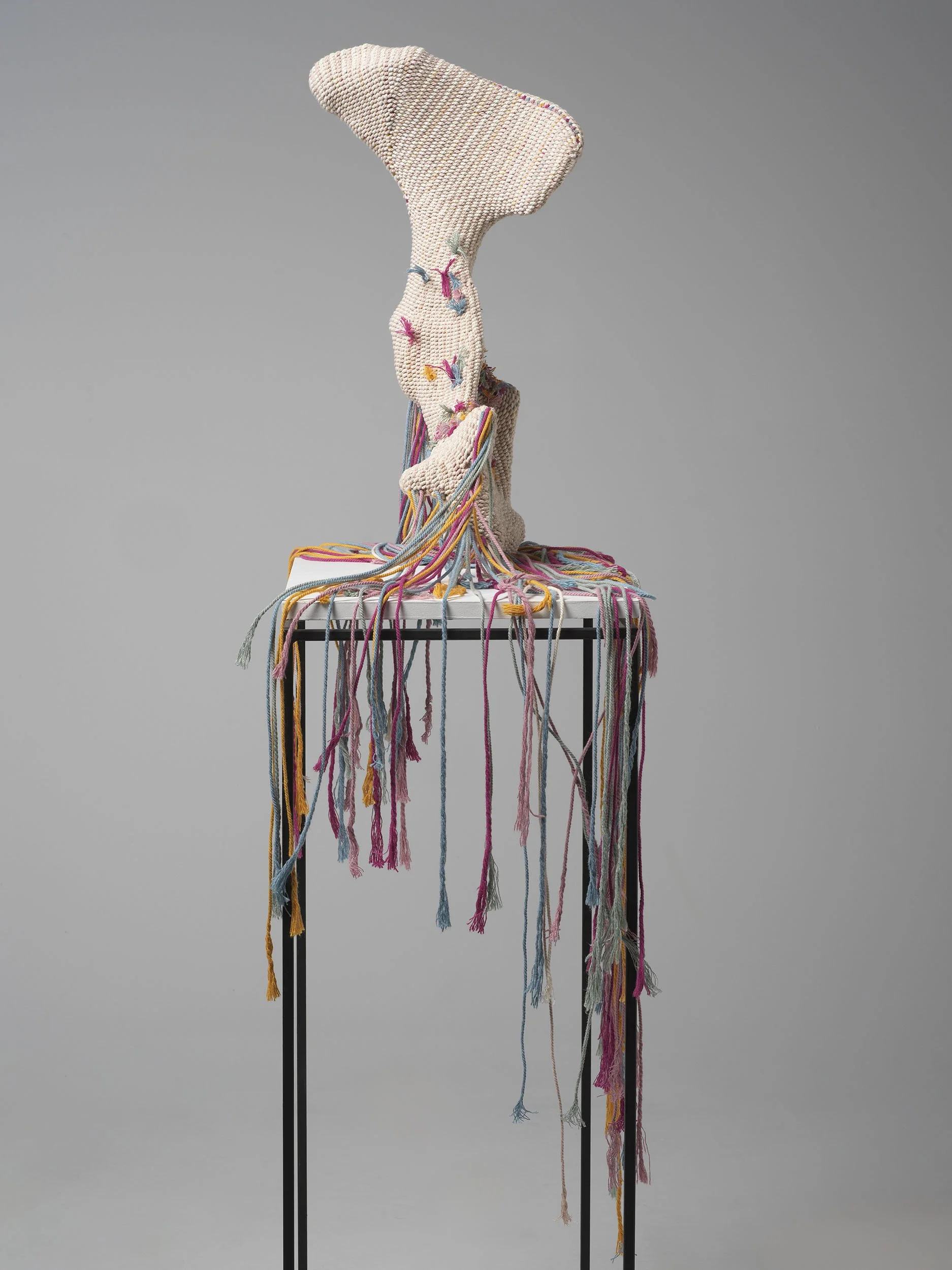 Evolution - 
bone, recycled cotton rope - 50 x 30 x 16cm - 2024