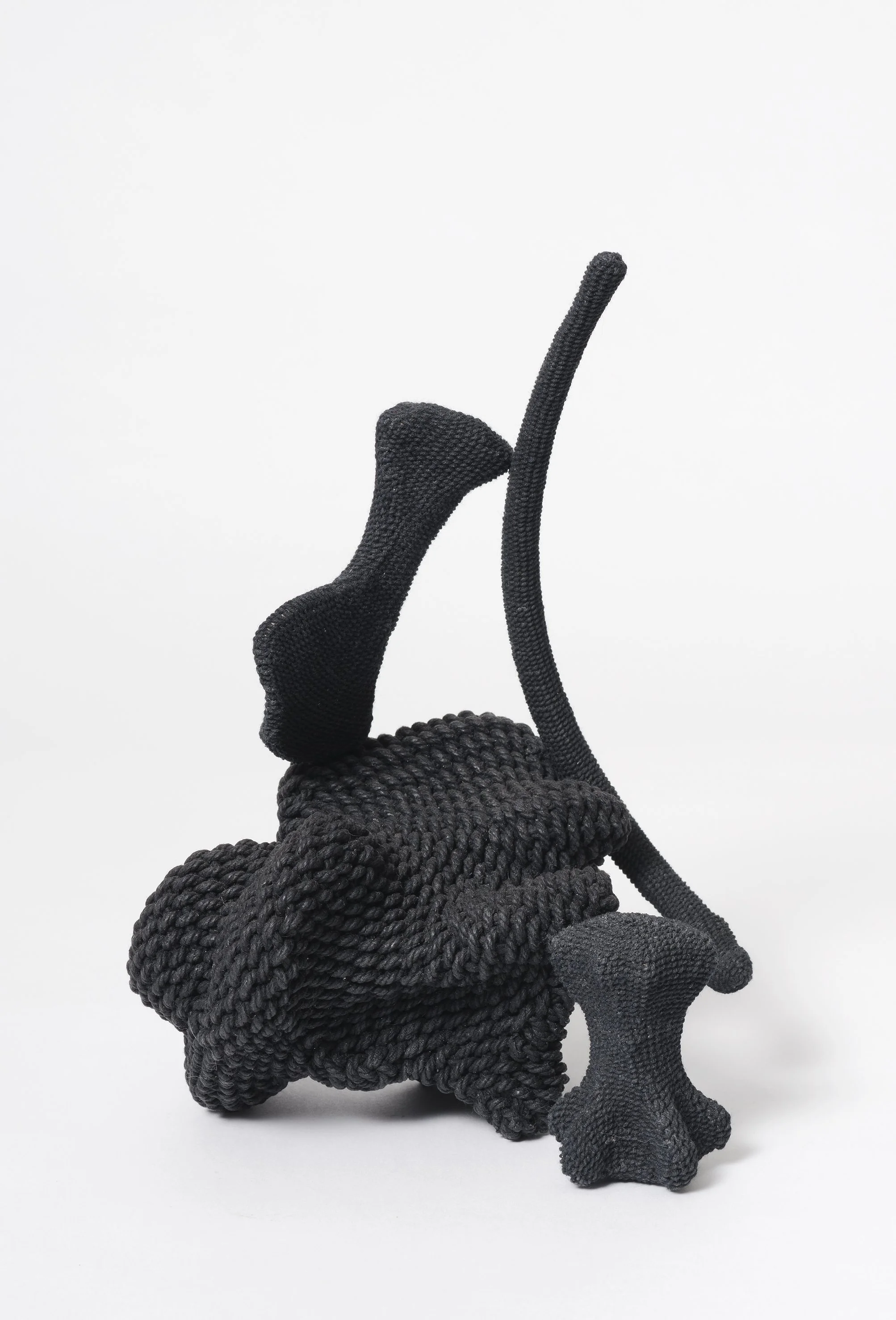 Detail - Wunderkammer - bone, cotton rope/thread, beeswax - 25 x 20 x 15cm - 2021 (Finalist - Boxed In National Shoebox Sculpture Prize - Tasmania) - NFS