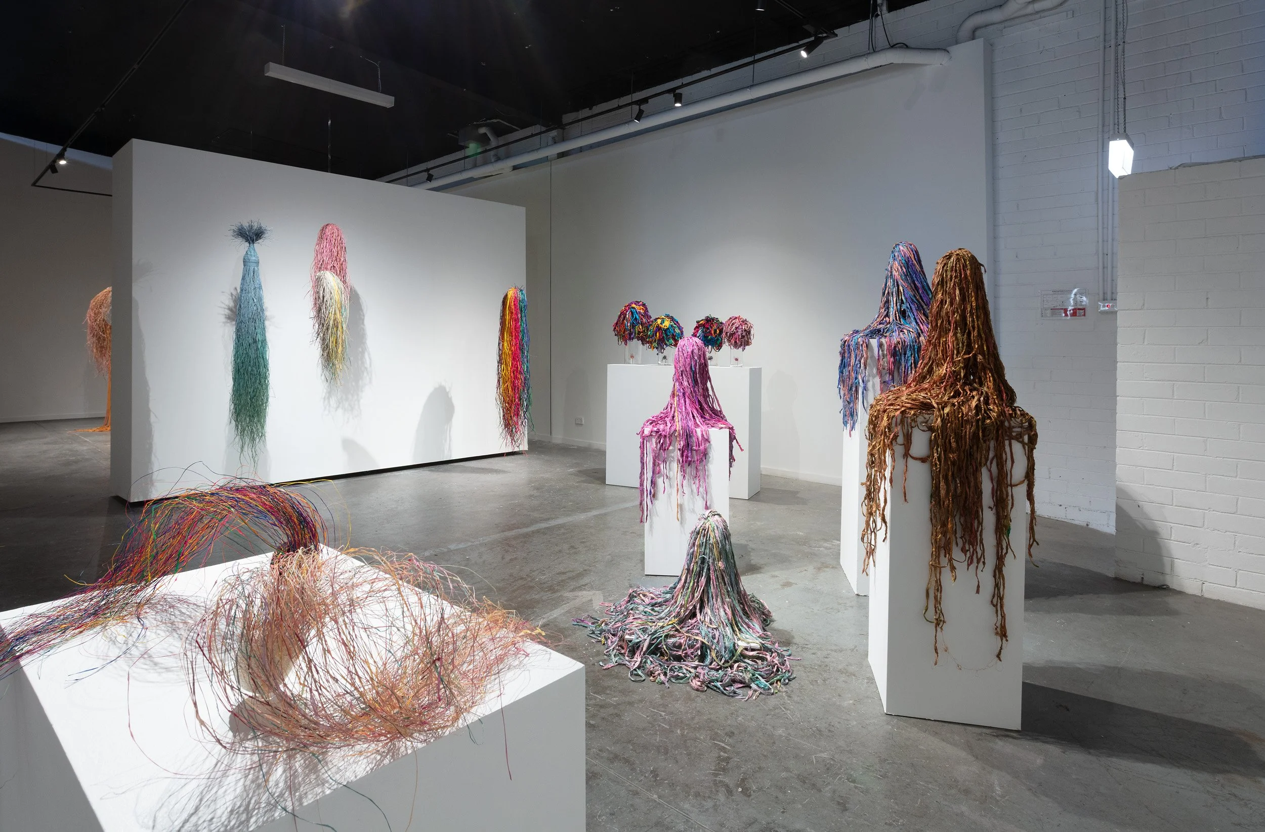 Installation view of Light & Shadow, The Elementals, The Archetypes and Between I, II, III, IV