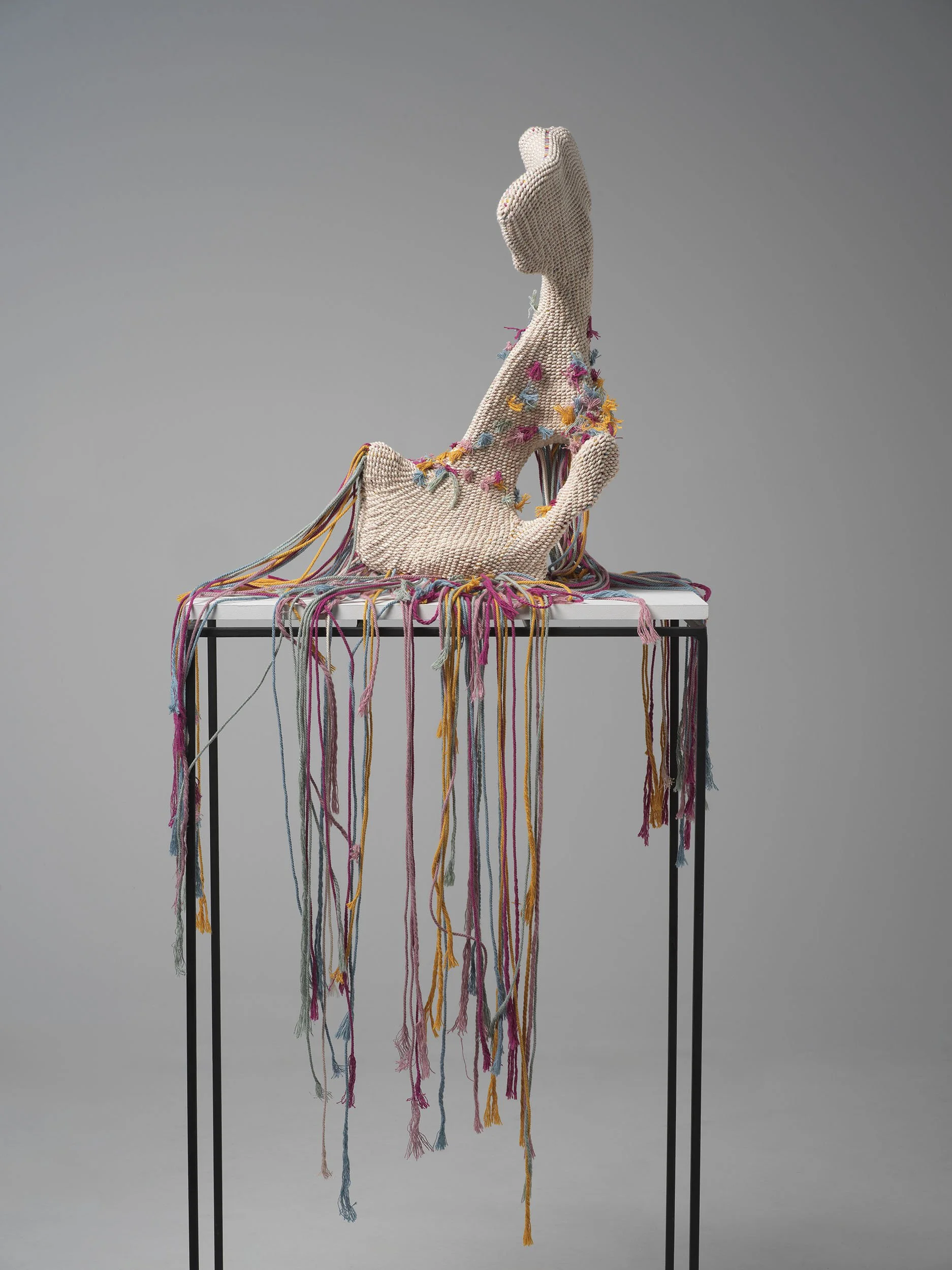 Evolution - bone, recycled cotton rope - 50 x 30 x 16cm - 2024