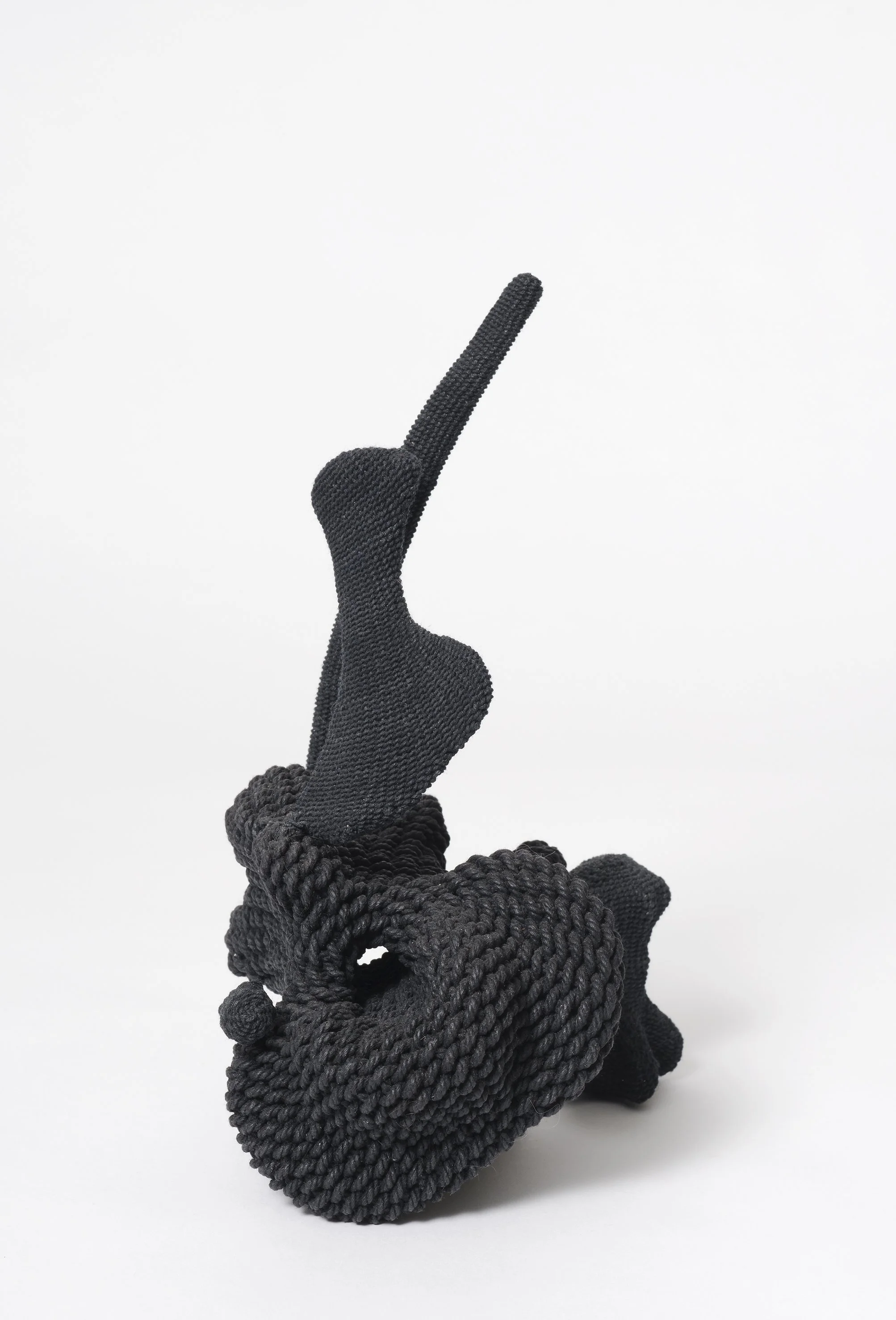 Wunderkammer - bone, cotton rope/thread, beeswax - 25 x 20 x 15cm - 2021 (Finalist - Boxed In National Shoebox Sculpture Prize - Tasmania) - NFS
