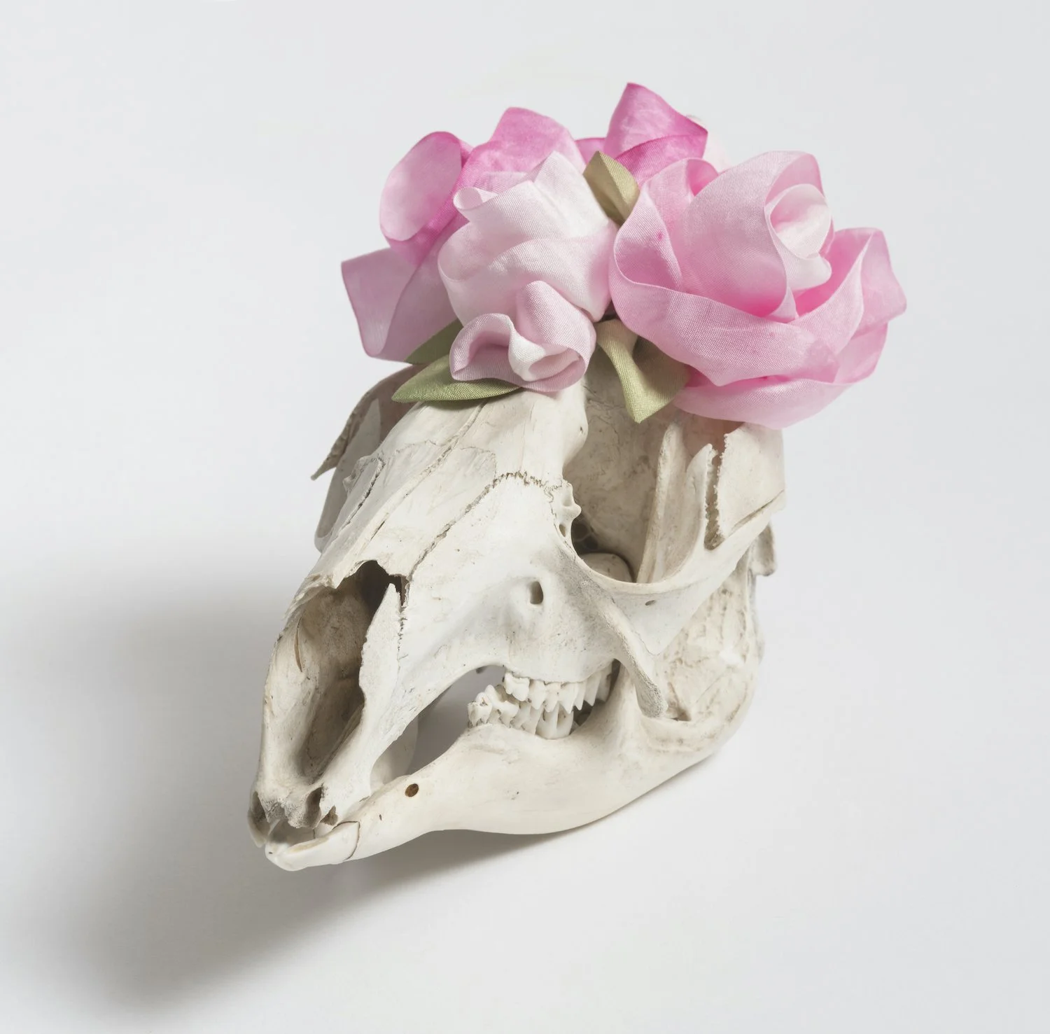 Transitions III - bone, sealer, hand dyed silk ribbon, modelling medium - 11 x 11 x 20cm