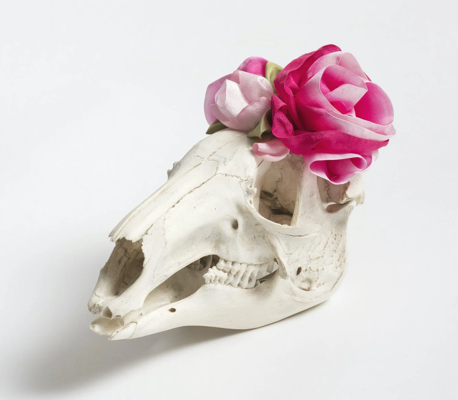 Transitions IV - bone, sealer, hand dyed silk ribbon, modelling medium - 11 x 11 x 20cm