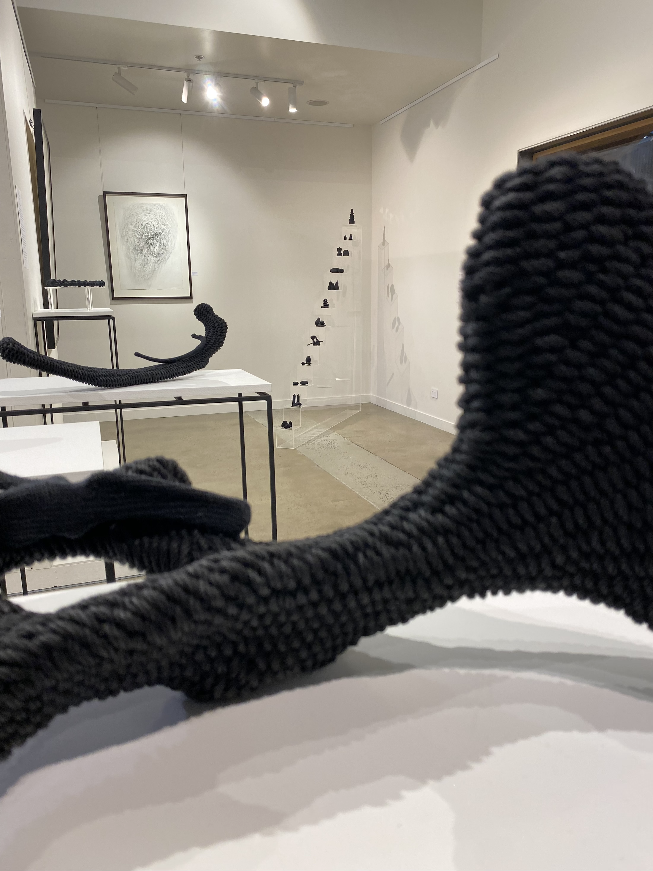 Shrine of Edification - (install view) with Nurture Series in foreground - Grainger Gallery -Canberra.