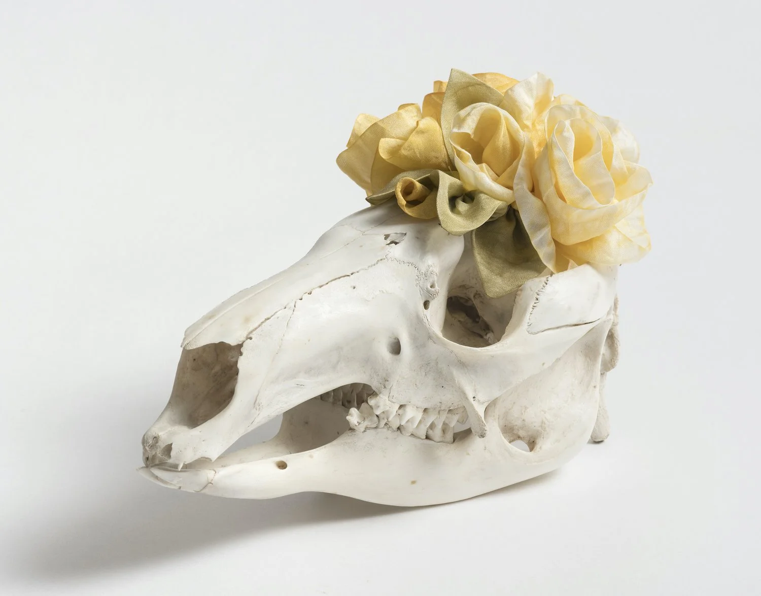 Transitions II - bone, sealer, hand dyed silk ribbon, modelling medium - 13 x 12 x 22cm