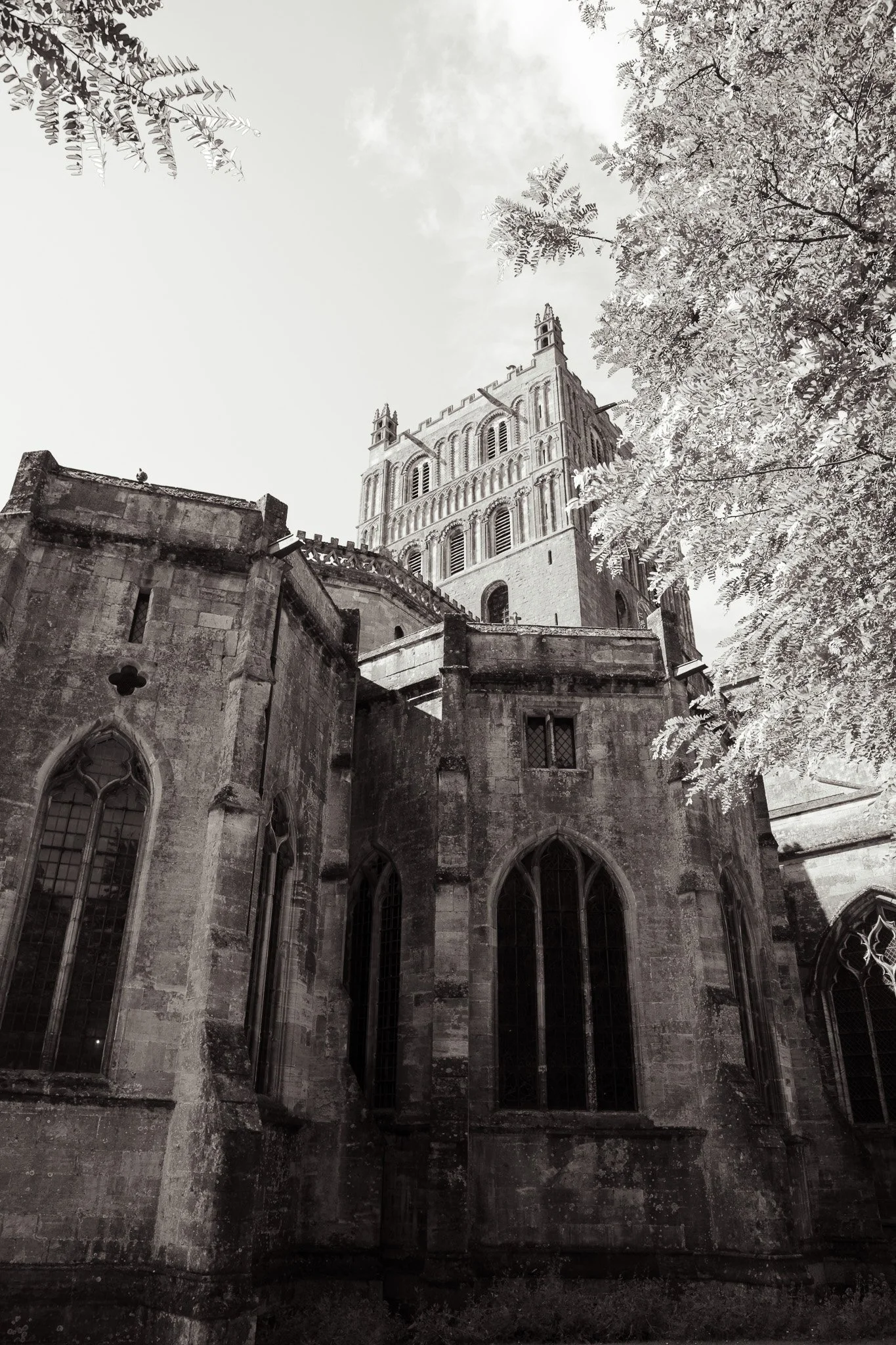 Tewkesbury590A9591.jpg