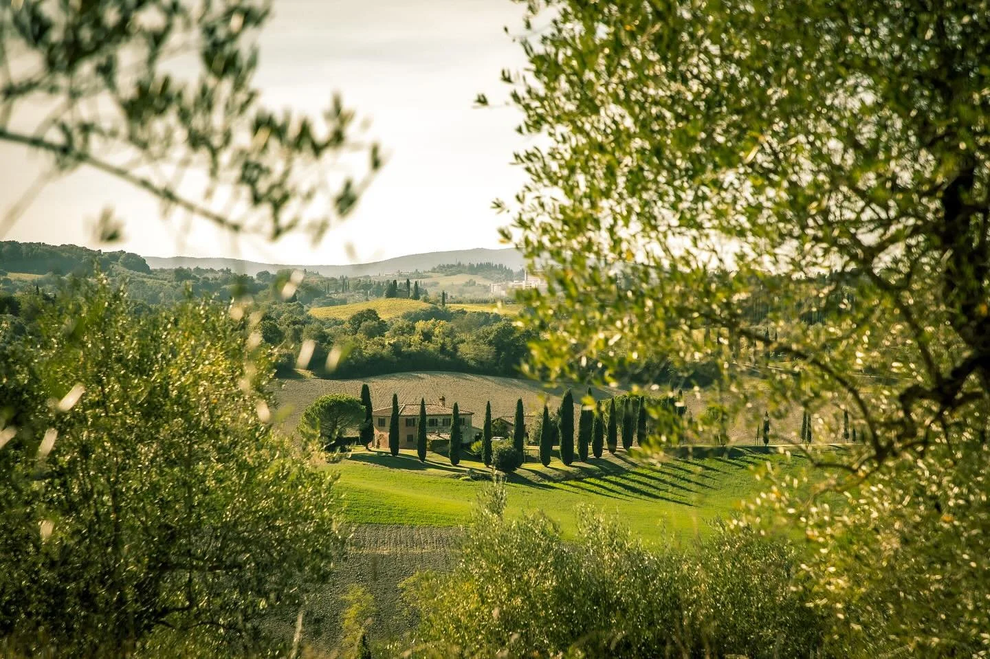 @montechiaro_organic_winery