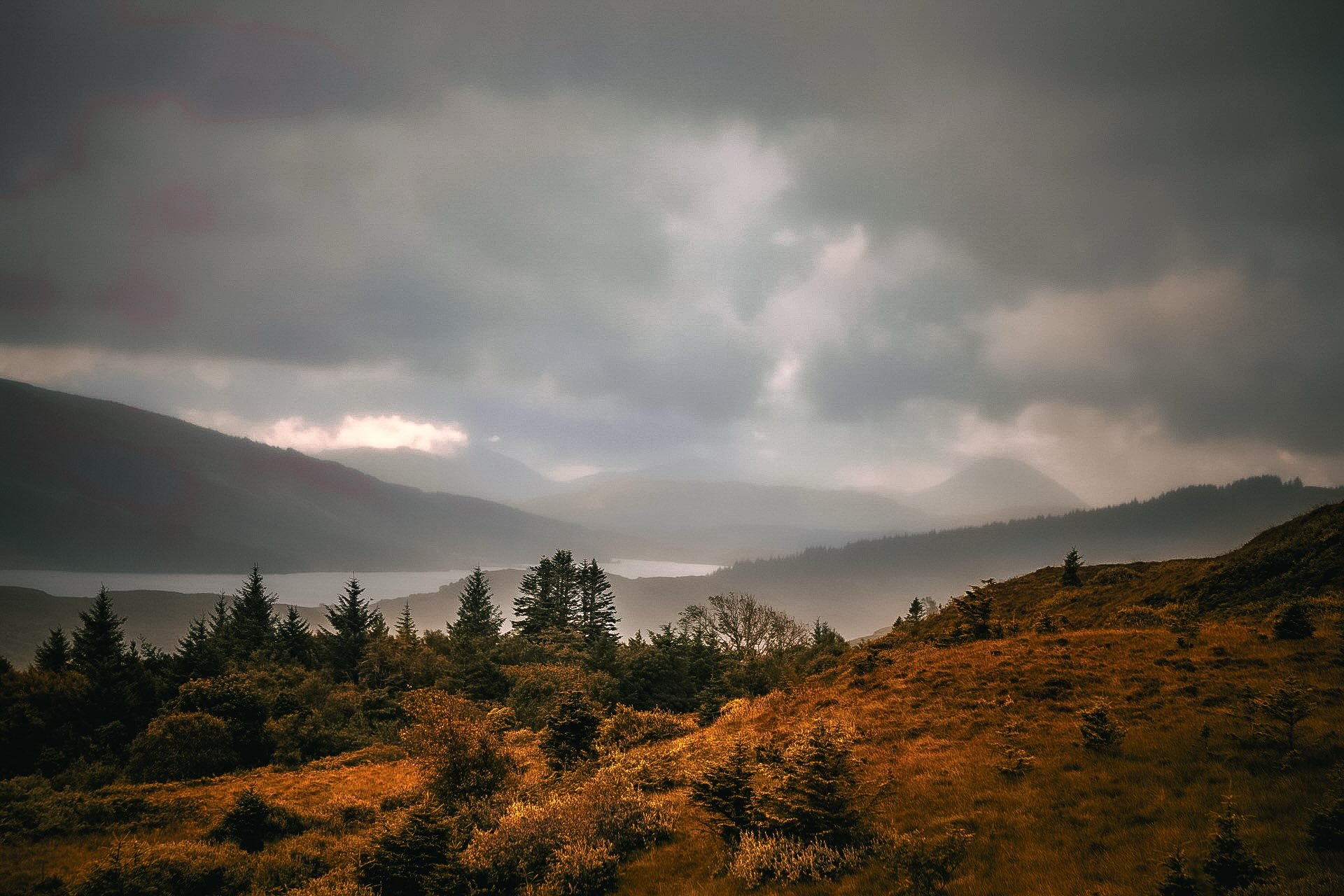 Eagle spotting on Mull