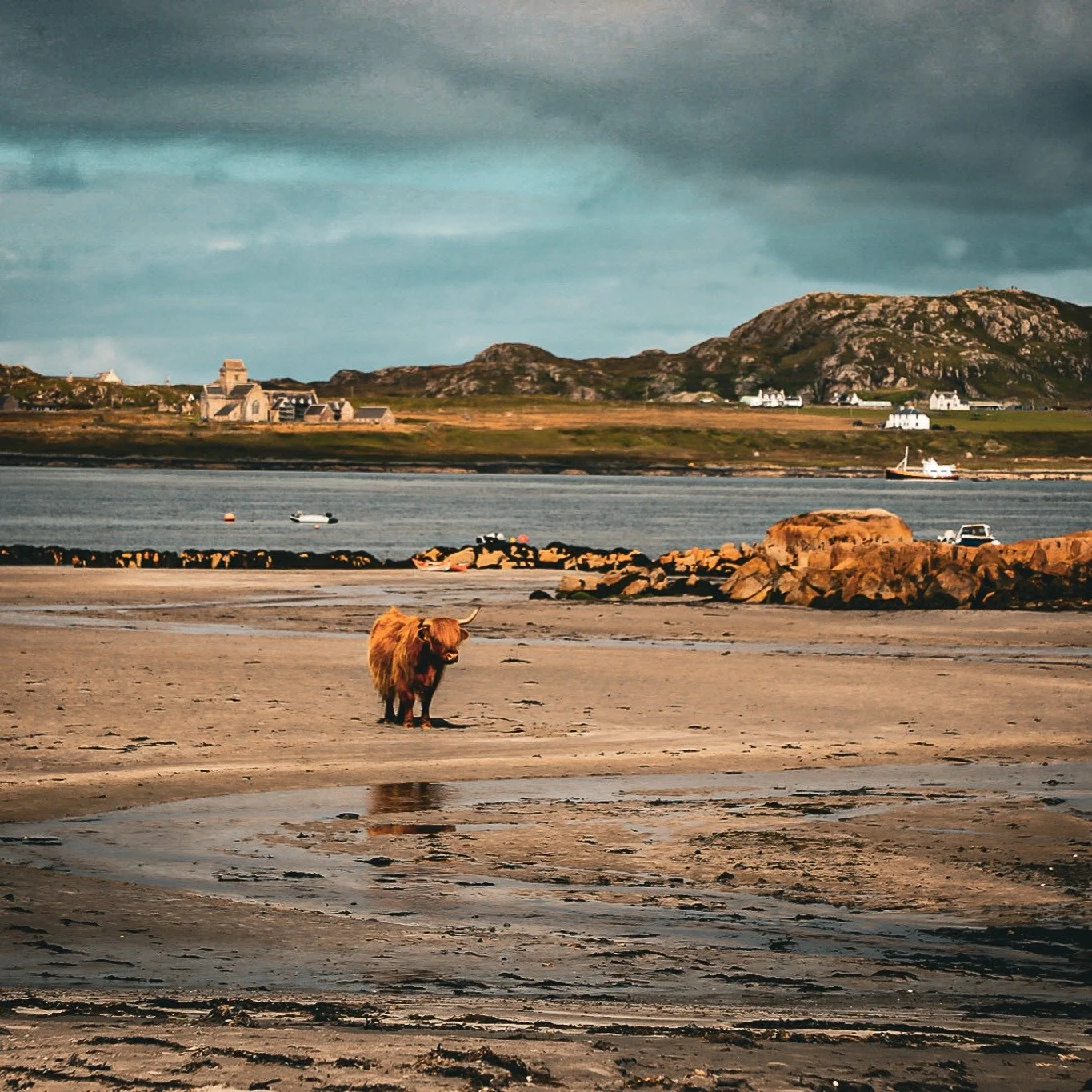 A portrait of Scotland: https://www.eleanordailey.com/portfolio/scotland