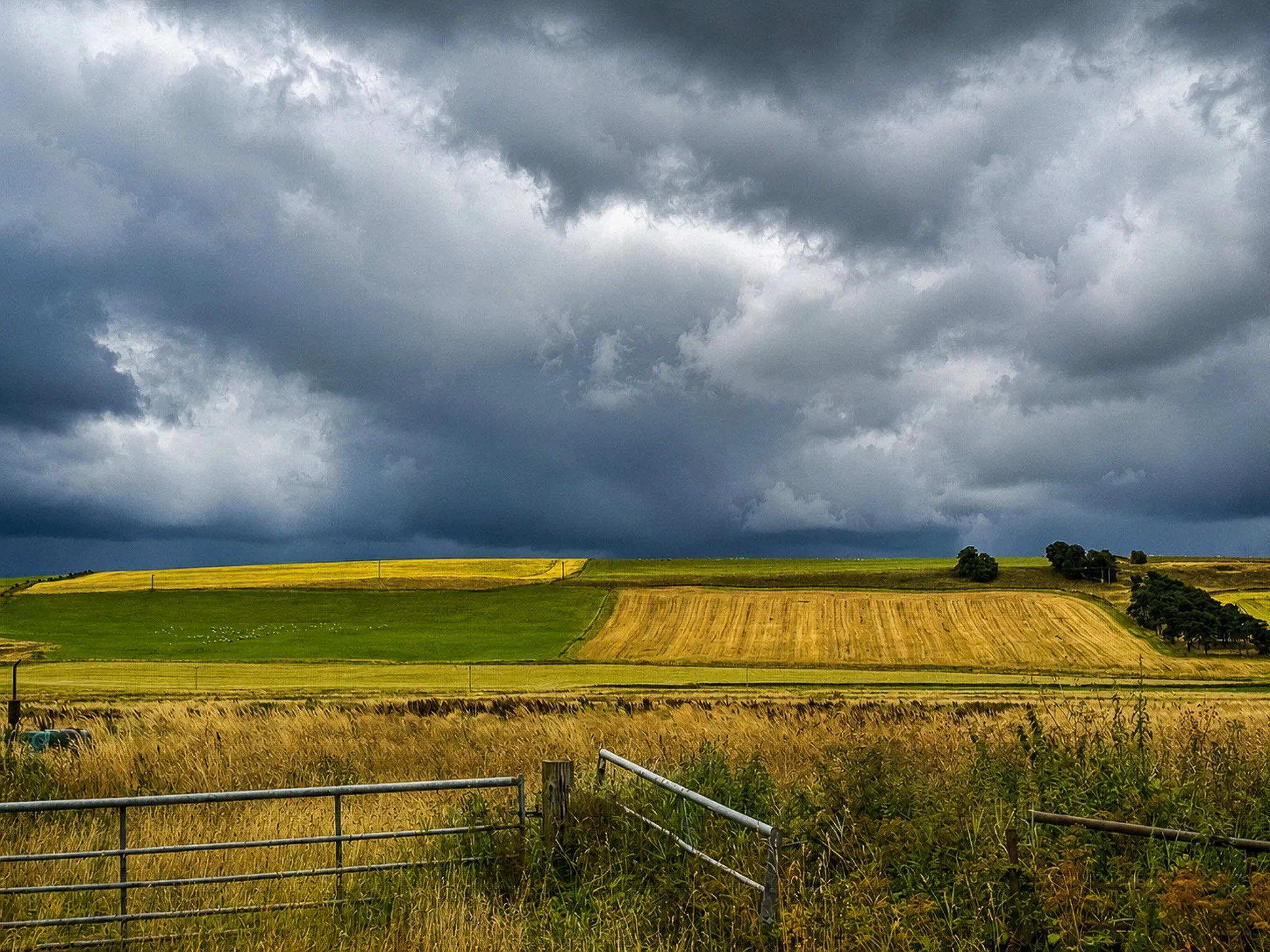 D80023E0-91C3-4429-9ADC-6682CDDB355C.jpg