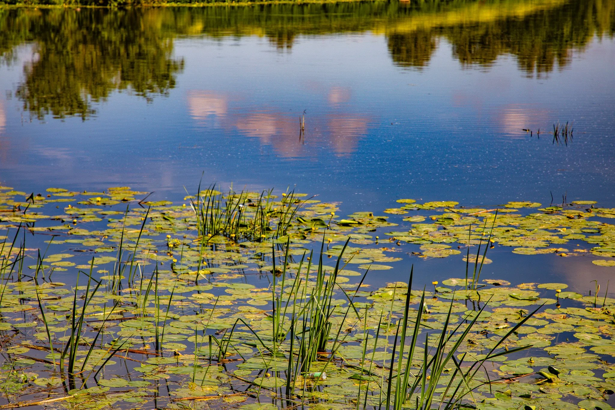 Tewkesbury590A9489.jpg