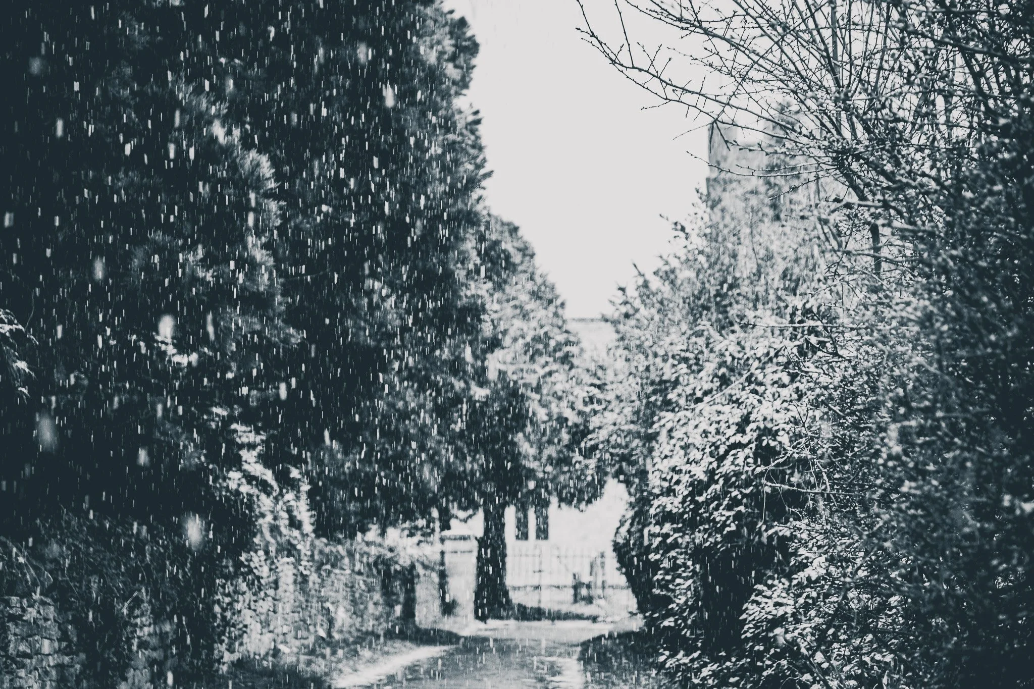 CotswoldsCM0A4426.jpg