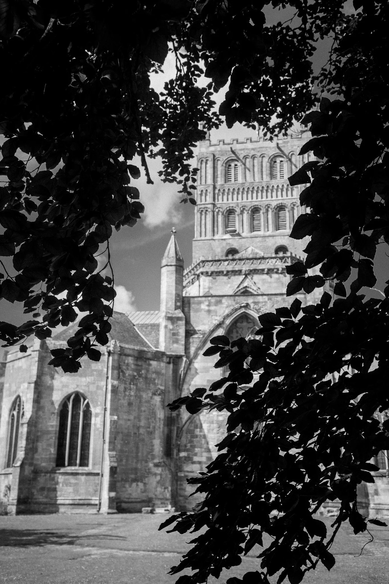 Tewkesbury590A9586.jpg
