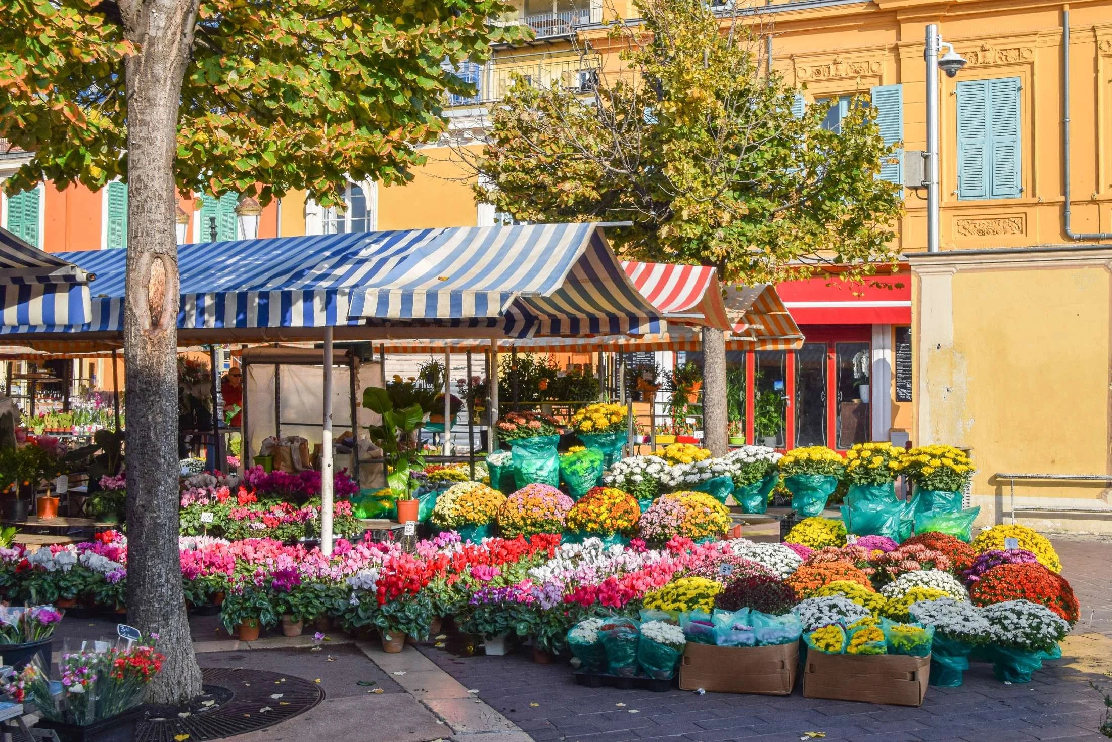 Cours-Saleya.jpg