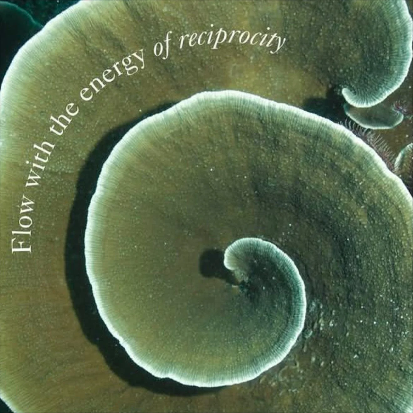 If this is your vibe, come and write with @daniellekionasina at @movespace_ on November 22 🌿🌿🌿 wānanga details below&hellip; register via link in bio 🔗

Storytelling as Healing: Fanua ✍🏼

Join Dani Kionasina, author of TUSITALA + TUSIATA, editor