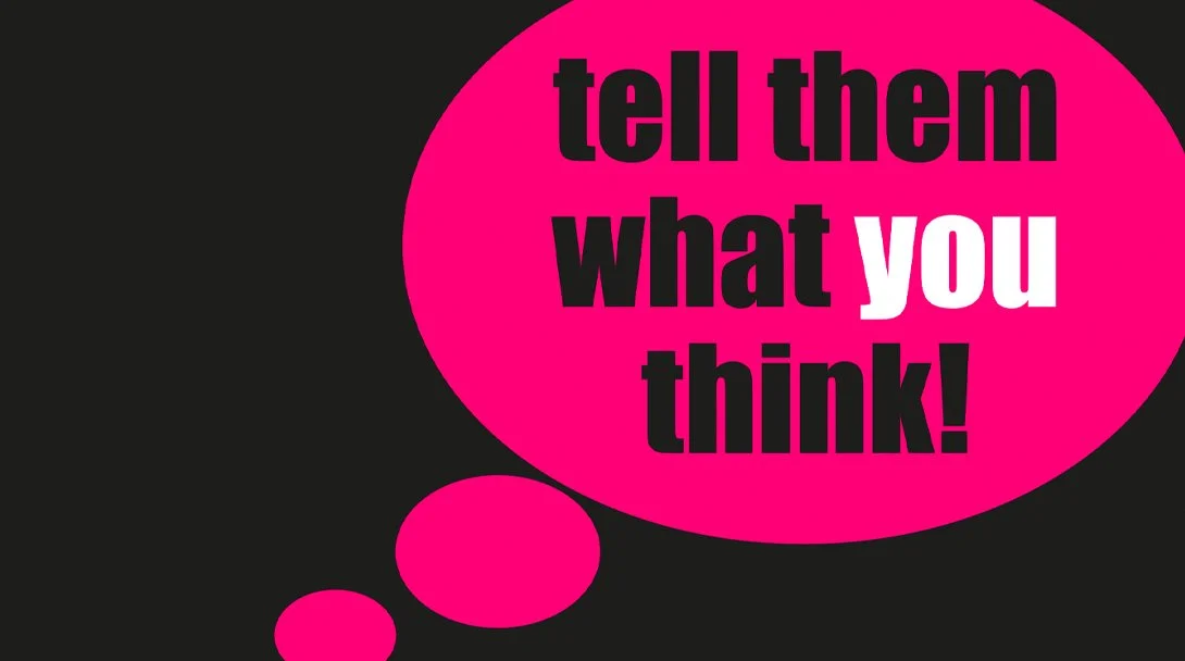 Detailed guidance notes for LionLink Consultation - Due 10th March 2026