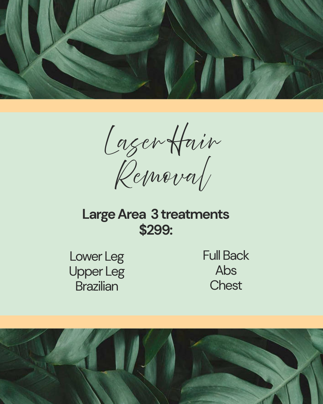 Laser Hair Removal - Large Area - 3 for $299