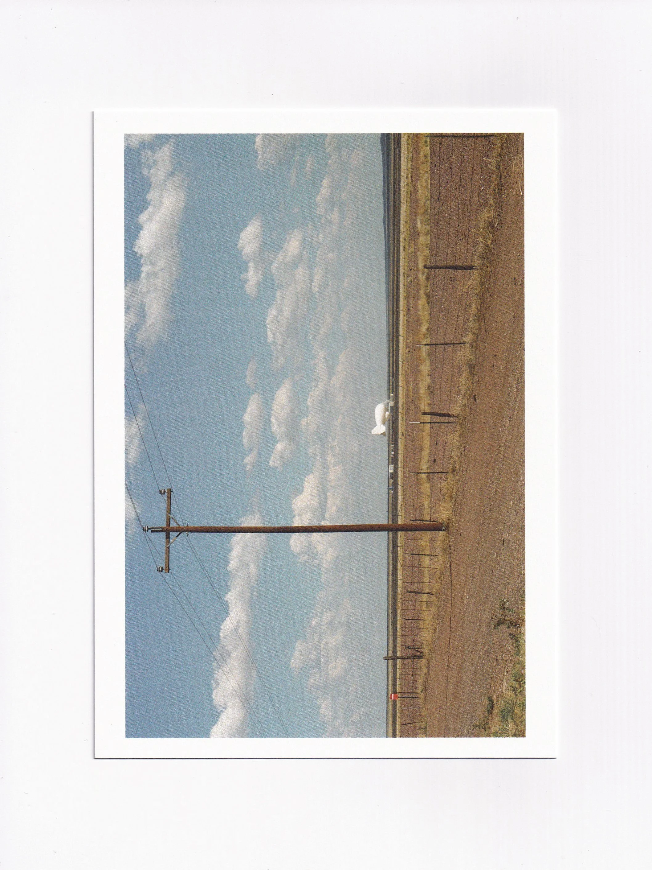 JPEG image-4AE2-B5D3-F1-2.jpg