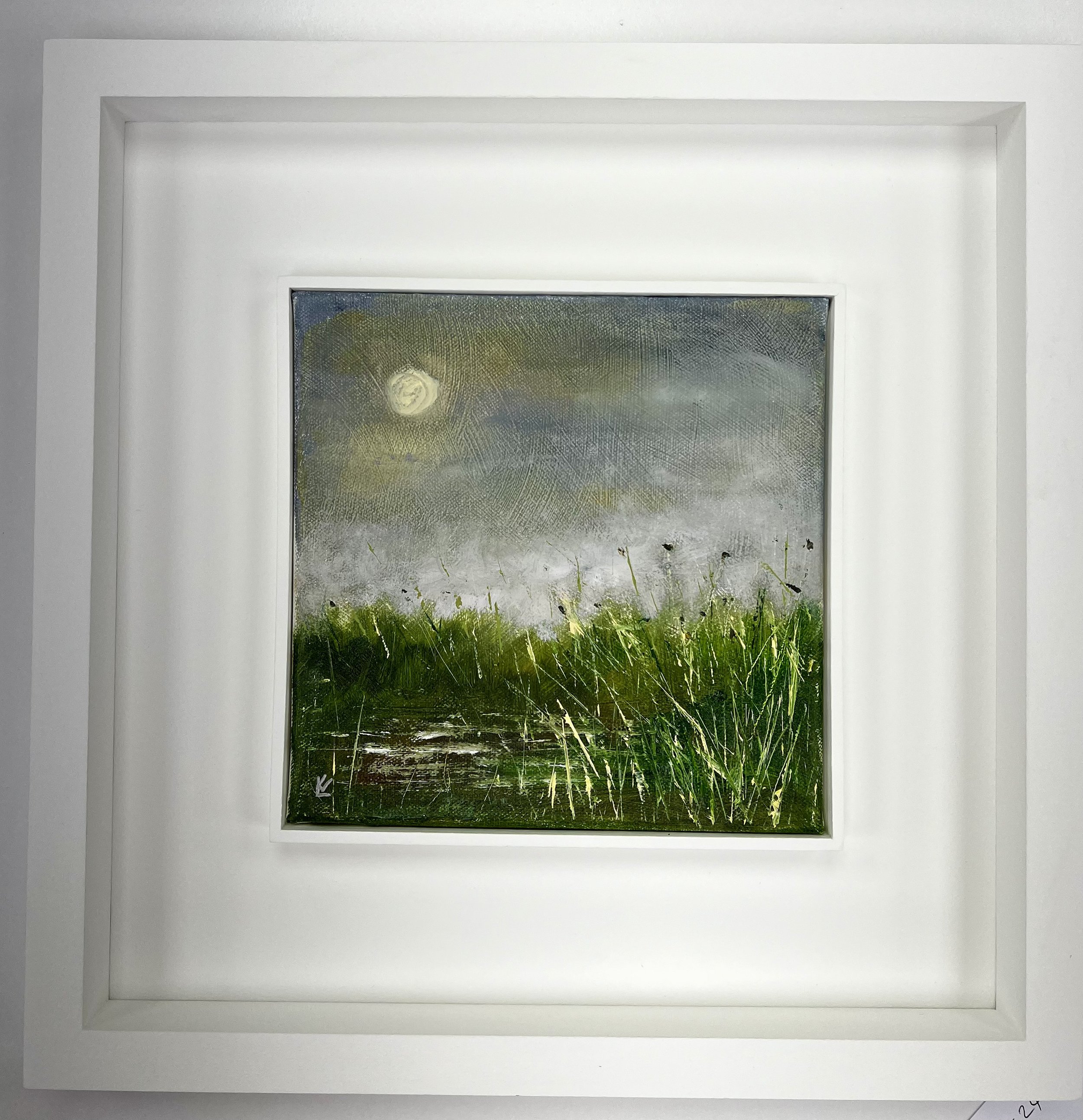 Misty Marsh