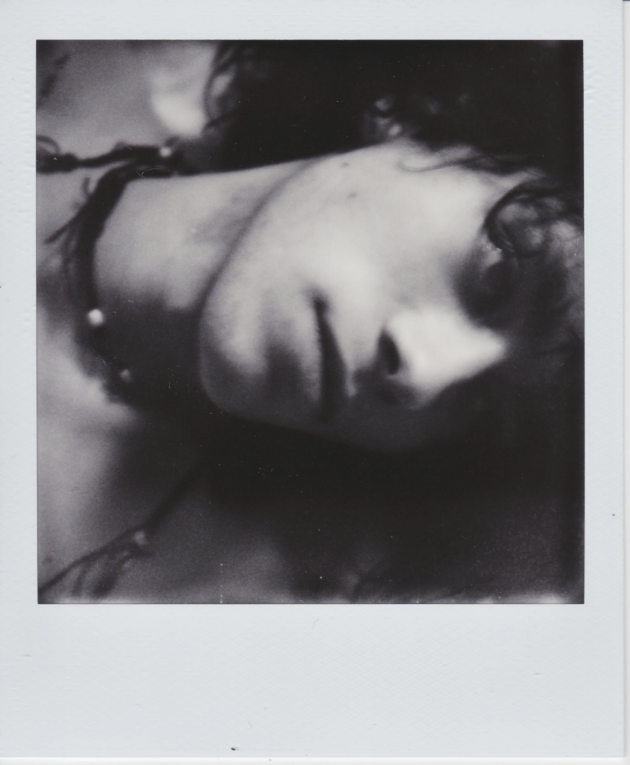 Sammie and Charlie 3.jpg